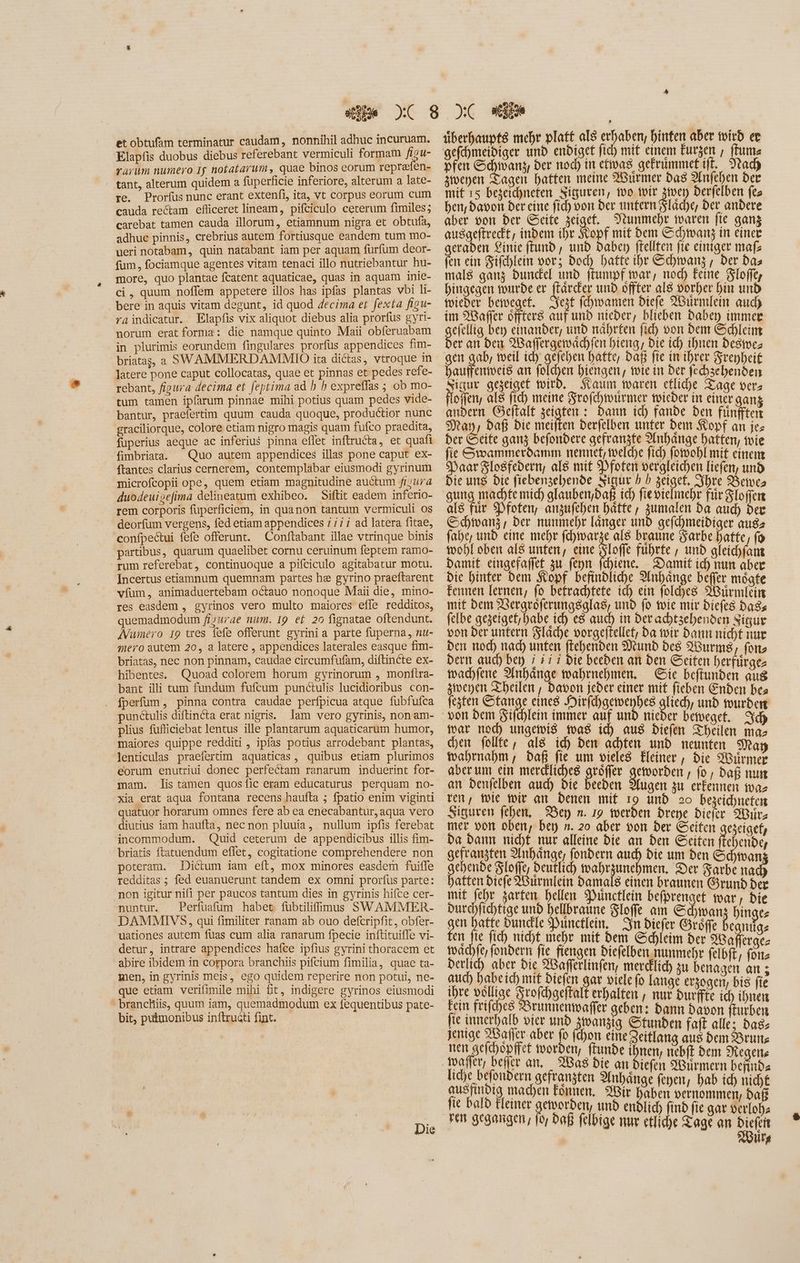 et obtufam terminatur caudam, nonnihil adhuc incuruam. Elapfis duobus diebus referebant vermiculi formam figu- rarum numero If notatarum , quae binos eorum reprefen- . tant, alterum quidem a fuperficie inferiore, alterum a late- re. Proríus nunc erant extenfi, ita, vt corpus eorum cum cauda rectam efliceret lineam, pifciculo ceterum fimiles; carebat tamen cauda illorum, etiamnum nigra et obtufa, adhuc pinnis, crebrius autem fortiusque eandem tum mo- ueri notabam, quin natabant iam per aquam furfum deor- fum, fociamque agentes vitam tenaci illo nutriebantur hu- more, quo plantae fcatent aquaticae, quas in aquam inie- ci , quum noffem appetere illos has ipfas plantas vbi li- bere in aquis vitam degunt, id quod decima et fexta figu- raindicatur. Elapfis vix aliquot diebus alia prorfus gyri- norum eratforma: die namque quinto Maii obferuabam in plurimis eorundem fingulares prorfus appendices fim- briatas, a SWAMMERDAMMIO ita dictas, vtroque m latere pone caput collocatas, quae et pinnas et pedes refe- rebant, fipura decima et feptima ad b h expreflas ; ob mo- tum tamen ipfarum pinnae mihi potius quam pedes vide- bantur, praefertim quum cauda quoque, productior nunc graciliorque, colore etiam nigro magis quam fufco praedita, fuperius aeque ac inferius pinna effet inftructa, et quafi fimbriata. Quo autem appendices illas pone caput ex- ftantes clarius cernerem, contemplabar eiusmodi gyrinum microfcopii ope, quem etiam magnitudine auctum fıyura duodeuigefima delineatum exhibeo. Siftit eadem inferio- rem corporis fuperficiem, in quanon tantum vermiculi os deorfum vergens, fed etiam appendices / /7 7 ad latera fitae, confpectui fefe offerunt. Conftabant illae vtrinque binis partibus, quarum quaelibet cornu ceruinum feptem ramo- rum referebat, continuoque a pifciculo agitabatur motu. Incertus etiamnum quemnam partes he gyrino praeftarent vfum, animaduertebam octauo nonoque Maii die, mino- res easdem , gyrinos vero multo maiores effe redditos, quemadmodum fisurae num. 19 et 20 fignatae oftendunt. AVuinero 19 tres fefe offerunt gyrini a parte fuperna, nu- mero autem 20, a latere , appendices laterales easque fim- briatas, nec non pinnam, caudae circumfufam, diftincte ex- hibentes. Quoad colorem horum gyrinorum , monftra- bant illi tum fundum fufcum punctulis lucidioribus con- . fperfum, pinna contra caudae perfpicua atque fubfufca punctulis diftinéta erat nigris. Jam vero gyrinis, non am- plius fufliciebat lentus ille plantarum aquaticarum humor, maiores quippe redditi , ipfas potius arrodebant plantas, lenticulas praefertim aquaticas, quibus etiam plurimos eorum enutriui donec perfectam ranarum induerint for- mam. lis tamen quosfic eram educaturus perquam no- xia erat aqua fontana recens haufta ; fpatio enim viginti quatuor horarum omnes fere ab ea enecabantur, aqua vero diutius iam haufta, nec non pluuia, nullum ipfis ferebat incommodum. Quid ceterum de appendicibus illis fim- briatis ftatuendum eflet, cogitatione comprehendere non poteram. Dictum iam eft, mox minores easdem fuiffe redditas ; fed euanuerunt tandem ex omni prorfus parte: non igitur nifi per paucos tantum dies in gyrinis hifce cer- nuntur. Perfuafum habet fübtilifimus SWAMMER- DAMMIVS, qui fimiliter ranam ab ouo defcripfit, obfer- uationes autem fuas cum alia ranarum fpecie inftituiffe vi- detur, intrare appendices hafce ipfius gyrini thoracem et abire ibidem in corpora branchiis pifcium fimilia, quae ta- men, in gyrinis meis, ego quidem reperire non potui, ne- que etiam verifimile mihi fit, indigere gyrinos eiusmodi branchiis, quum iam, quemadmodum ex fequentibus pate- bit, putmonibus inftru&ti fint. Die » überhaupts mehr platt als erhaben, hinten aber wird er gefehmeidiger und endiget fic) mit einem Eurzen , (fume pfen Schwanz, der nod) in efivas gefrummetift. Nach zwenen Tagen haften meine Würmer das Anfehen der mit 15 begeichneten Síguren, wo wir zwen berfelben (ea ben, davon der eine fíd) oon ber untern Släche, ber andere aber von Der Seite zeigef. _ Nunmehr waren fie gang ausgeftreckt, indem ihr Kopf mit bem Schwanz in einer eraden Linie ftunb , und Dabey ftellten fte einiger maß een ein Zifchlein vor; Dod) batte ihr Schwanz , ber da mals ganz bundel unb ffumpf war, nod) Feine Sloffe, hingegen murde er ftärdker unb offer als vorher bin und wieder bewegef. 2 (dmmamen Diefe 9Gurmlein auch im 98affer öfters auf unb nieder, blieben baben immer geftis bey einander, und nährten fid) von bem Schleim er an den Waffergemächfen hieng, Die id) ihnen Destoez gen gab, weil ich gefehen batte; Daß fte in ihrer Srepheif hauffenweis an folchen hiengen, tote in ber fechzehenden Nigur gezeiget wird, Saum waren efliche Tage vers floffen, als fid) meine Srofehwurmer wieder in einer gang andern Geftalt Bee ann ich fanbe den fünfften May, bafi bic meiften derfelben unter bent Kopf an jes ber Seife ganz befondere gefranzte Anhänge hatten, wie fie Swammerdamm nenne, welche fid) (otoobl mit einem DaarZlosfedern, als mit Pfoten vergleichen liefen, und Die ung Die fiebenzehende Nigur b h zeigef, Ihre Bewes gung machte mid) glauben,daß ich fie vielmehr frr Floffen als für Pfoten, anzufehen hätte, zumalen ba auch Der Schwanz, der nunmehr länger und gefchmeidiger aus: fabe, und eine mehr fd)arse als braune arbe batte, fo wohl oben als unten, eine sie führte , unb gleichfam damit eingefaffet zu fenn fchiene. Damit ich nun aber Die hinter dem Kopf befindliche Anhänge beffer móate Fennen lernen, fo betrachtete ich ein foldhes Würmlein mit bem Vergroferungsglag, und fo wie mir Diefes Dass felbe gezeiget,habe id) e8 auch in Der achtzehenden Sigur von ber untern Slade vorgeftellet, da wir dann nicht nur den nod) nad) unten ftebenben Mund des Wurmg, foie dern auch bey i $i i bie beeden an ben Seiten Herfüürge- tvad)fene Anhänge wahrnehmen. Gie beftunben aug ztveHen Theilen , Davon jeder einer mit fieben Enden bes festen ipe eines Jirfd)gemmenbes gliech, unb wurden dlein immer auf und nieder beweget. Syd mar nod) ungewis was ich aus diefen heilen mae hen follte, als id) bem achten und neunten May fvabrnabm , Daß fie um vieles Kleiner , bie Würmer aber um ein merckliches gröffer geworden , fo , daß nun an Denfelben aud) bie beeden Augen zu erkennen tva2 ren, wie wir an Denen mif ı9 unb oo bezeichneten Siguven fehen, Ben n. 19 werden brepe diefer Wiirz mer von oben, bey n. 20 aber von ber Seiten gezeigef, ba dann nicht mur alleine Die an den Seiten fTehende, gefranzten Anhänge, fondern im Die um ben Schwan Rh Slofle, deutlich wahrzunehmen, Der Farbe nac atten Diefe XBurmlein damals einen braunen Grund der mif febr zarten hellen Puncklein befprenget war, bie Durchfichtige und bellbraune Sloffe am Schwan bingte gen baffe bundle Puncklein. Sn diefer Gröffe be ige ten fie fid) nicht mehr mit dem Schleim ber Wa erges machfe, fonbern fie fiengen biefelben nunmebr felbft, fon; derlich aber bie Wafferlinfen, merdilid) zu benagen an ; aud) habeich mif diefen gar viele fo lange erzogen, bis fie ihre völlige Srofchgeftalt erhalten , nur durffte ich ihnen kein frifches Brunnenwaffer geben: bann davon fturben fie innerhalb vier und swanzig Stunden faft alle; das; jenige 2Baffer aber fo (don eine Zeitlang aus dem Bruns nen gefchöpffet worden, ftunbe ihnen, nebft dem Negens | 2898 Die an diefen Würmern befindz liche befondern gefrangten Anhänge feyen, hab ich nicht machen können, Wir haben vernommen, bafi fie bald Fleiner geworden, unb endlich find fie gar verloh: Burg