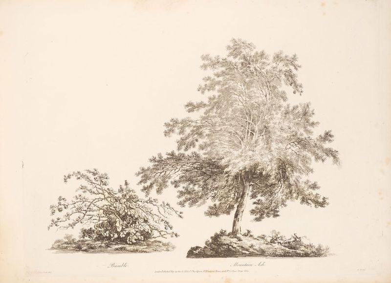 aot del Londonliblished May. 29,1800.b) John LL he napson, GC’ Newport Street, and N51 T)eant. Street. Soho.
