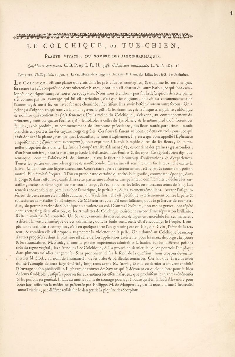 LÉ COLCHIOUE., bu TUE CHIEN PLANTE VIVACE ; DU NOMBRE DES ALEXIPHARMAQUES. Colchicum commune. C. B. P. 67.1. KR. H. 348. Colchicum autumnale. XL. S. P. 485. Tourner. Claff. 0. feét. 1. gen. $. Lin. Hexandria trigynia. ADANS. 8. Fam, des Liliacées , fect. des Jacinthes. L E CocLcique eft une plante qui croît dans les prés , fur les montagnes, & qui aime les terreins Gras. Sa racine (4) eft compolée de deux tubercules blancs , dont l’un eft charnu & l'autre barbu , & qui font enve- loppés de quelques tuniques noires ou rougeàtres. Nous nous étendrons peu fur la defcription de cette plante très connue par un avantage qui lui eft particulier ; c'eft que fes oignons , enlevés au commencement de l'automne, & mis à fec en hiver fur une cheminée, fleuriffent fans avoir befoin d'aucun autre fecours. On a peint ()l'oignon coupé tranfverfalement , avec le piftil & les étamines ; & la filique triangulaire , oblongue & noirâtre qui contient les {c ) femences. De la racine du Colchique , s’élevent, au commencement du printems , trois ou quatre feuilles (Ÿ) femblables à celles du Iys blanc ; & le même pied d'où fortent ces feuilles , avoit produit, au commencement de l'automne précédente, des fleurs tantôt purpurines , tantôt blanchâtres , portées fur des tuyaux longs & grêles. Ces fleurs fe fanent au bout de deux ou trois jours , ce qui a fait donner à la plante , par quelques Botaniftes , le nom d'Éphemere. Il y en a qui l'ont appellé l'Ephemere Se es FRE venenofum ), PE exprimer à la fois la rapide durée de fes fleurs , & les fu- neftes Ré paie de la plante. Le fruit eft coupé tranfverfalement ( f), & contient des craines (g) arrondies , 5 remarque , comme l’obferve M. de Bomare , a été le fujet de beaucoup d'obfervations & d'expériences. Toutes fes parties ont une odeur grave & nauféavonde. La racine eft remplie d’un fuc laiteux ; elle excite la falive , & lui donne une légere amertume. Cette racine, prife intérieurement , eft regardée comme un poifon mortel. Elle feroit fuffoquer , fi l'on en prenoit une certaine quantité. Elle gonfle , comme une éponge, dans la gorge & dans l’eftomac ; caufe dans cette partie une ardeur & une pefanteur confidérables ; déchire les en- trailles, excite des démangeaifons par tout le corps, & s'échappe var les felles en morceaux teints de fang. Les remedes convenables en pareil cas font l'émérique , le peit-lait , & les lavements émolliens. Autant l'ufage in- térieur de cette racine eft nuifible , autant , dit Wedellius , elle eft fpécifique extérieurement contre la pefte & toutes fortes de maladies épidémiques. Ce Médecin croyoitqu'il écoit fufhfant, pour fe préferver de ces mala- dies, de porter la racine de Colchique en amulette au col. D'autres Docteurs , non moins graves , ont répété depuis cette finguliere aflertion , & les Amulettes de Colchique jouiroient encore d’une réputation brillante, {1 elle n'avoit pas été conteftée. Un Savant , ennemi du merveilleux & fagement incrédule fur ces matieres, a détruit la vertu chimérique de ces MINES dont la feule vertu ie eft d'encourager le Peuple. L’'em- pêcher de craindre la contagion , c'eit en ia forte l'en garantir ; car on fait , dit Rivin, l'effet de la ter- reur , & combien elle eft propre à augmenter la violence de la pefte. On a de au Lbbique beaucoup d'autres propriétés, dont la plus sûre eft celle de fon application extérieure pour les maux de gorge , la goutte & les rhumatifmes. M. Stork, fi connu par des expériences admirables & hardies fur les différens poifons tirés du regne végéral , les a étendues à ce Colchique, &ila prouvé en dernier lieu qu’on pourroit l'employer dans plufieurs maladies dangereufes. Sans prononcer ici fur le fond de la queftion , nous croyons devoir re- donné l'exemple & cette fage témérité , long-tems avant M. Stork , & que ce dernier a fouvent confulté l'Ouvrage de fon prédécefleur. Il eft rare de trouver des Savants qui fe ds en quelque forte pour le bien de leurs femblables , jufqu'à éprouver fur eux-mêmes les effets hafardeux que produifent les plantes vénéneufes & les poifons en général. Il faut au moins autant de courage pour s’y réfoudre qu’il en fallut à Alexandre pour boire fans réflexion la médecine préfentée par Philippe. M. de Maupertuis , parmi nous , a imité heureufe- ment Lriccius , par différens eflais fur le danger de la piquüre des Scorpions.