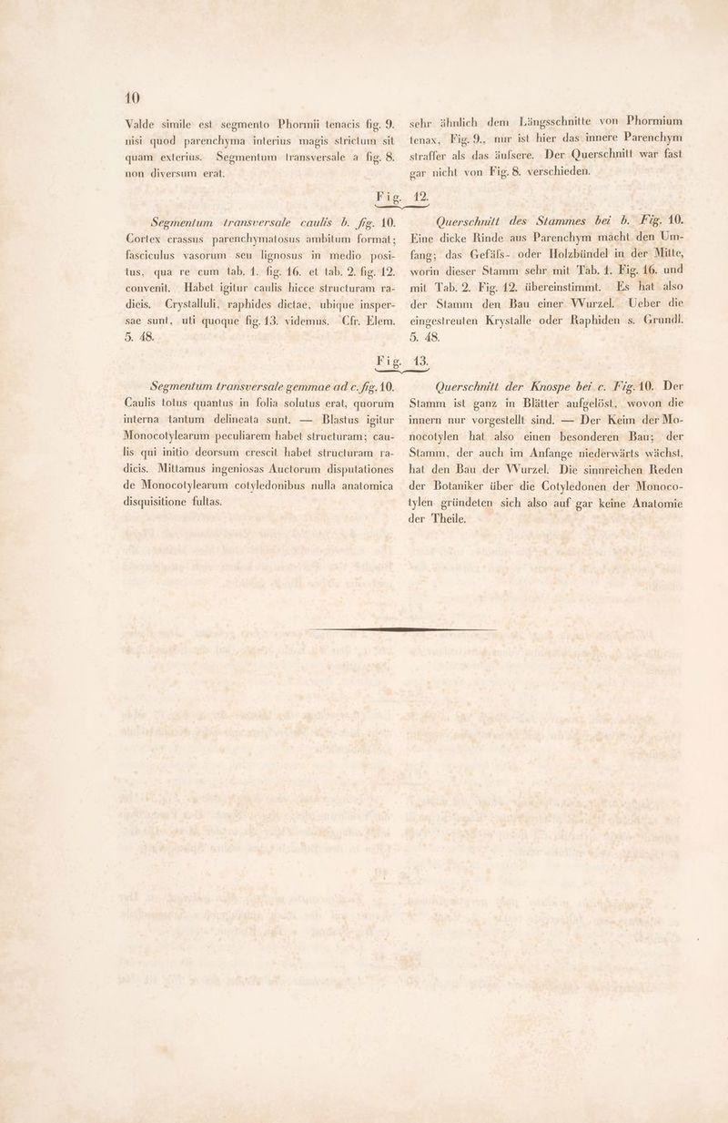 Valde simile est segmento Phormii tenacis fig. 9. nisi quod parenchyma interius magis slirictum sit quam exterius. Segmentum transversale. a fig. 8. non diversum erat. sehr ähnlich dem Längsschnitte von Phormium tenax, Fig.9., nur ist hier das innere Parenchym straffer als das äufsere. Der Querschnitt war fast gar nicht von Fig. 8. verschieden. Segmentum | transversale caulis b. fre. 10. Cortex crassus parenchymatosus ambitum format; fasciculus vasorum seu lignosus in medio posi- tus, qua re cum tab. 1. fig. 16. et tab. 2. fig. 12. Querschnitt des Stammes bei b. Fig. 10. Eine dicke Rinde aus Parenchym macht den Um- fang; das Gefäls- oder Holzbündel in der Mitte, worin dieser Stamm sehr mit Tab. 1. Fig. 16. und convenit. Habet igitur caulis hicce structuram ra- mit Tab. 2. Fig. 12. übereinstimmt. Es hat also dicis. Crystalluli, raphides dictae, ubique insper- der Stamm den Bau einer Wurzel. Ueber die sae sunt, uti quoque fig. 13. videmus. Cfr. Elem. eingestreuten Krystalle oder Raphiden s. Grundi. 5. 48, 5. 48. Fig. 13. mem Segmentum transversale gemmae ad c. frg. 10. Caulis totus quantus in folia solutus erat, quorum interna tantum delineata sunt. — Blastus igitur Monocotylearum peculiarem habet structuram; cau- lis qui initio deorsum crescit habet structuram ra- dicis. Mittamus ingeniosas Áuctorum disputationes de Monocotylearum cotyledonibus nulla anatomica disquisitione fultas. Querschnitt der Knospe bei c. Fig.10. Der Stamm ist ganz in Blätter aufgelöst, wovon die innern nur vorgestellt sind. — Der Keim der Mo- nocotylen hat also einen besonderen Dau; der Stamm, der auch im Anfange niederwärts wächst, hat den Bau der Wurzel. der Botaniker über die Cotyledonen der Monoco- Die sinnreichen Reden tylen gründeten sich also auf gar keine Anatomie der Theile.