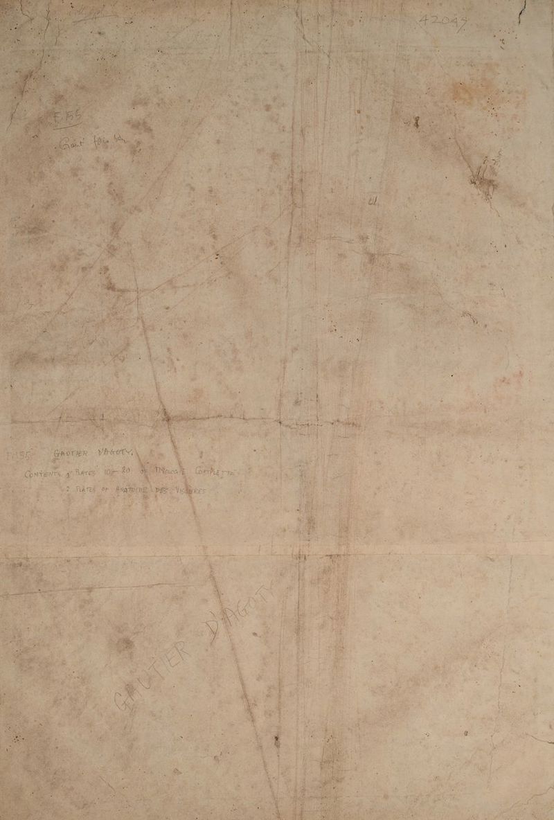 C- ‘ $ 4 4 Le, MSA An) 7, Sy 1e 63; ENT K VE, Pre NU My LIN RD