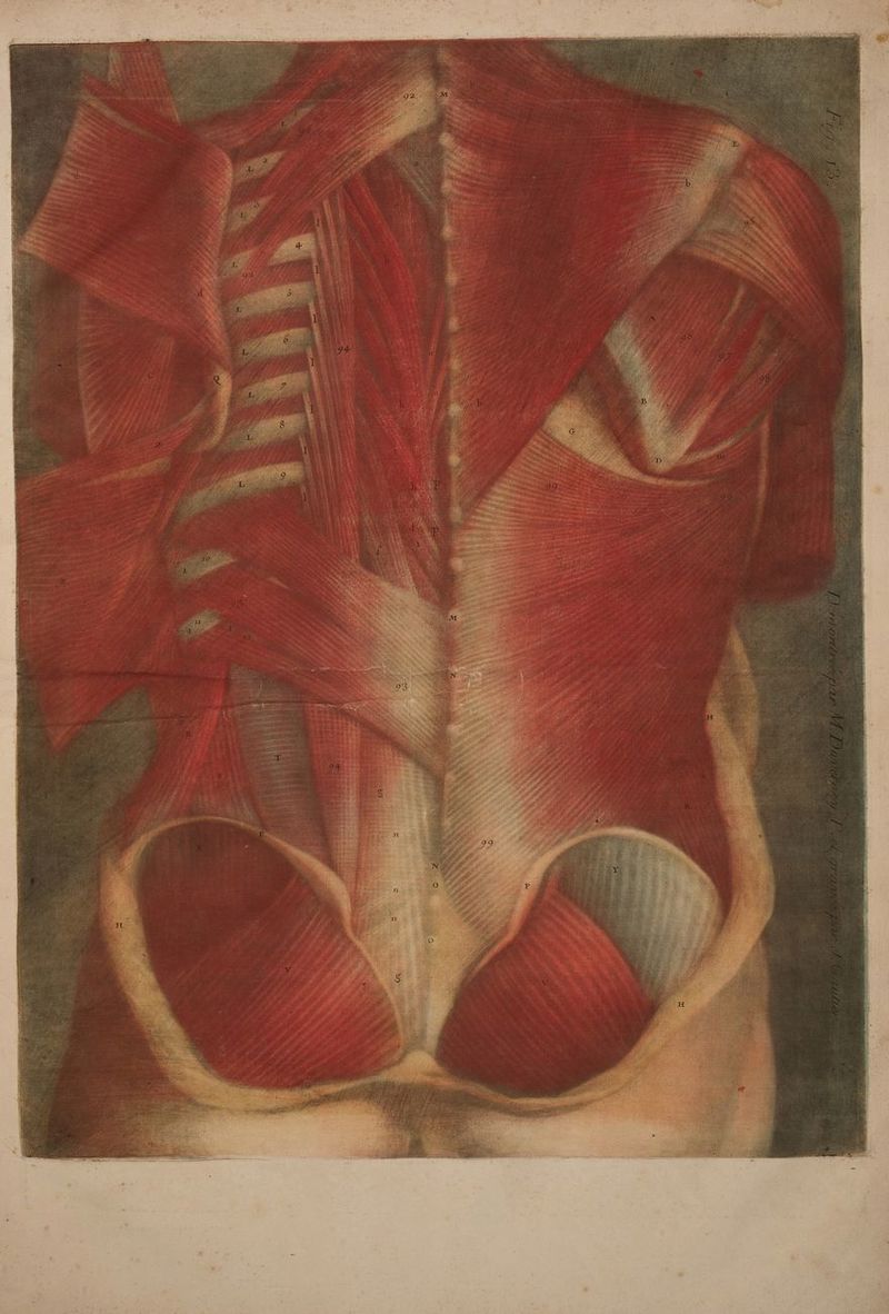 Pre ANA RETRO 7 Re PET LT ADN RE ER hr PATTES EL rare ES Eh Elle Lans