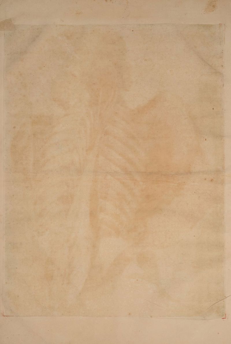 ELLE TS arL L'UIRe < | CAM | . 3 f a 4 UT /LL ue hs VA 7 nl na 7 À 3 t ë : 1: \ ; Me - | Les | DE d fe: À 'S L 2 ; k : o : à ë DEN | | ne 211,5 ER HENT C2 Ce iQ Le CL: de