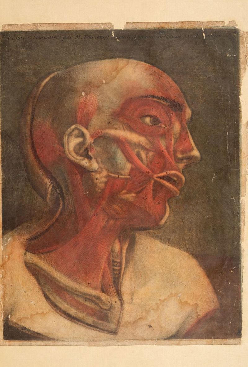 tr \ EE D TE gross Age