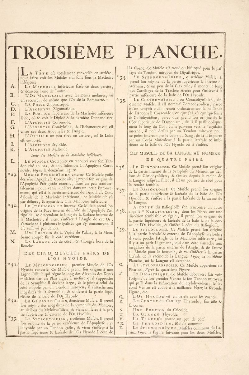 41H00 HO FN Fe x D VO pour faire voir les Mulcles qui font {eus la Machoire inférieure. L’'Os MaxiILLaIRE avec les Dents molaires, vü en racourci, de même que l'Os de la Pommette. LA Fosse Zigomatique. L'APOPHYSE Zigomatique. L'AroPHyYsE Coronoïde. | L'OREILLE un peu tirée en arriére , où le Lobe eft emporté. L'AropHyse Styloïde. L'ArorHysEe Maftoïde. Suite des Mufcles de la Machoire inferieure. don tiré en bas, & fon Infertion à l'Apophyfe Coro- noïde. Voyez. la deuxiéme Figure. derriére lApophyfe Coronoïde; il prend fon origine de l'Apophyfe Prérigoïde externe, fitué un peu tranfver- falement, pour venir s'inférer dans un petit Enfonce- dyloïde de la Machoire inférieure : LE Pre riGoïpien interne. Ce Mufcle prend fon origine de la Face interne de l’Aîle de PApophyfe Pré. rigoide, & defcendant le long de la Surface interne de la Machoire , il vient s'inférer à l'Angle de cet Os, s’attachant à plufeurs inégalités qui s'y rencontrent. Il eft aufli vü par déhors. UNE PorTion de la Voûte du Palais, & la Mem- brane coupée fur le côté extérieur. La LaANGuE vûe de côté, & allongée hors de la Bouche. | DES/CINQ MUSCLES PA4RS DE L'OS HYOÏDE. Hyoïde renverfé. Ce Mufcle prend {on origine à une Ligne Ofleufe qui régne le long des Alvéoles des Dents molaires par un Plan aigu; à mefure qu'il s'approche inégalités de la Symphife, & sinfére à la partie fupé- rieure de la bafe de l'Os Hyoïde. - Le GE NIOHYOÏDIEN, deuxième Mufcle. Il prend fon origine des inégalités de la Symphife du Menton, au deffous du Mylohyoïdien, & vient s'iniérer à la paï- Le SryLOHYOÏiDIEN , troifiéme Mufcle. Il prend fon origine de la partie extérieure de l'Apophyfe Sty- lohyoïde par un Tendon grêle, & vient s'inférer à la à,» fje / » .. \ À , partie fupérieure & latérale de lOs Hyoïde à côté de fage du Tendon mitoyen du Digaftrique. LE CosTOHYOÏDIEN, ou Coracohyoïdien, cin- quiéme Mufcle. Il eft nommé Coracohyoïdien, parce qu'on croyoit quil prenoit ordinairement fa naiflance Côte fupérieure de l'Omopiate ; de là il pañle oblique- ment le long du Col, étant parvenu vers la Jugulaire 5 par un Corps Mufculeux à la partie latérale & infé- rieure de la baie de l'Os Hyoïde où il s'infére. ne point interrompre le cours du Sans. de à il fe porte DES MUSCLES DE LA LANGUE AU NOMBRE DE QU AT ARUE PAFRES Le GEenvocrosse. Ce Mulcle prend fon origine de la partie interne de la Symphife du Menton au def fous du Géniohyoïdien , & s'infére depuis la racine de la Langue jufqu'au File, il eft un peu tiré de côté pour LE Basroczosse. Ce Mufcle prend fon origine A CosTE du Bafñoglofle s'en rencontre un autre appellé * KERATOGLOSsE, dont les Fibres ont une direction femblable & égale ; il prend fon origine de la partie fupérieure & latérale de la bafe & de la cor- ne de l'Os Hyoïde, & s'infére à côté du Bafiogloffe. Le Sryrocrosse. Ce Mufcle prend fon origine Pharinx , Voyez la quatriéme Figure. Digne ;10ce. L'Os Hyoïpe vû en partie avec fes cornes. fa corne, UNE PorTion du Cricoïde. LA GLANDE Thyroïde # | La TRACHEE portée un peu de côté. LE THYROÏDIEN, Mufcle commun. mt, ol RÉ RÉ, D RÉ mo mt PE AE TR TR SET ON ER DIR RE PRE RL SR PRES TRE PER STE RENE 72 EEE PER CRC TRS PELSREESS ER ES PSN EDIT LAINE ERA EI TEE APR 77 JT SAN 2 YEAR EE SR EP SES