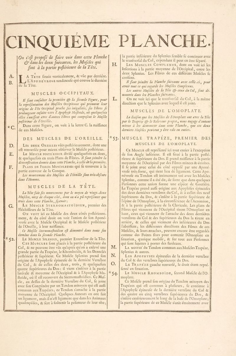gr dans les deux fuivantes, les Mufcles qui font à la partie poltericure de la Tête. À | de da Tête. MUSCLES :OCCIPITAEUX. | pofterieur de l'Orerlle. ; | 5 de ces Mufcles. DÉS MUSCLES DE LORETELE. eft renverfée pour mieux obferver le Mufcle poftérieur. | &amp; quelquefois en trois Plans de Fibres. 17 faut joindre la partie convexe de la Conque. dans l'Homme. MUSCLÉS DE LA TÉTÉ La Tête fait [es mouvemens par le moyen de vingt-deux Fe ; 3 EM « … « 1 .. 1 À É % » EL 2 = ER se nAE  14 n ASE PROC PE) RCE de, nr} BP tr Ce de sn +1, < e bn à CPE PA IR SV PUES , A1 # D PS PQ PEN ne d : x 3 er D a s z + 4 8 rater > = CRE Na LP 525 7 PRES ME het sep . = 8 ie « < = is: … < . es “ Us re ef NME ENT £ RP LLNE ATP Las ur D LE on ps en Lever ED Te = : = - G —_ in — ss ge 2 SE PT Se Dead te na 77 PTT ETÉ STT RTE RDS 2 = Er À érois dans cette Planche, [çavotr : ? Fléchiffeurs de la Tête. de l'Oreille, à leur naiffance. | étendue dans La Jéconde Planche. 1 Col, &amp; ne peuvent être vûs qu'après qu'on a enlevé une | grande partie du Trapéze, le Rhomboïde, &amp; les Denrelés | poftérieur &amp; fupérieur. Ce Mufcle Splenius prend fon | origine de l'Apophyfe épineule de la dernicre Vertébre du Col, &amp; de celles des deux, trois, &amp; quelquefois ‘ quatre fupérieures du Dos: il vient s'inférer à la partie latérale &amp; moyenne de l'Occipital &amp; à l'Apophyfe Ma- | ftoïide, où il eft recouvert du Sternomaftoïdien. Ce Muf- | avec fon Congénére par un Tendon mitoyen qui eft aufh | la partie inférieure du Splenius femble fe continuer avec || le tranfverfal du Col, cependant il peut en étre féparé. | Les Muscies CoOMPLExuSs, dont on voit ici les Jnfertions à la partie moyenne de l'Occipital, entre les | | deux Splenius. Les Fibres de ces différens Mufcles fe £ Î croifent. É Il faut joindre la Planche faivante avec celle-ci, pour | À avoir tout ce qui regarde les Mujcles Complexus. | Les autres Mujfcles de la Téte © ceux du Col , font de-\\ | æontres dans les Planches furvantes. | On ne voit ici que le tranfverfal du Col, à la même | direction que le Splenius avec lequel il eft joint. EL. L. |. MUSCLES DE L'OMOPLATE À La liaifon que les Mufcles de l'Omoplate ont avec La Tére | par le Trapeze @r le Releveur propre, nous engage d'autant \i | mieux à les démontrer dans cette Planche, que ces deux | | derniers Mufcles peuvent y être v4s en entier. #ÿ3.[MUSCLE YRAPÉZE, PREMIER DES} | MUSCLES DE L'OMOPLATE. À Ce Mouscze cf repréfenté ici tout entier à l'exception | Jde fon Angle inférieur. Il eft fitué à la partie pofté-|} | rieure &amp; fupérieure du Dos. Il prend naïffance à la partie || moyenne de l'Occipital par des Fibres minces &amp; étroites. | | Il fe joint avec celui du côté oppolé par une Aponé- | | vrofe très-forte, qui tient lieu de ligament. Cette Apo- || À névrofe ou Tendon eft intimement uni avec les Mufclés À | Splenius, comme il a été dit; de forte que dans quelques || | Perfonnes cette union forme une efpéce de Goutiére. | { Le Trapéze prend aufhi origine aux Apophifes épineufes || | des deux derniéres vertébres du Col, &amp; à celles des neuf | | fupérieures du Dos, &amp; s'infére à la partie fupérieure de | j l'épine de l'Omoplate, à la circonférence de l'Acromion, | &amp; à la partie poftérieure de la Clavicule. Les plans de | | Fibres qui viennent de FOccipital tirent l'Omoplare en | haut, ceux qui viennent de l'atrache des deux derniéres || À vertébres du Col &amp; des fupérieures du Dos la tirent en | larricre, &amp; celles qui viennent des inférieures du Dos | | l'abaiflent, les différentes directions des Fibres de ces | | Mufclès, &amp; leurs attaches, peuvent encore être regardés | | comme des Points fixes pour contenir l'Omoplate en |] {fituation, quoique mobile, &amp; fur tout aux Perfonnes | | qui font fujettes à porter des fardeaux. | CASE LS ILANR AE TA M. | La morrte du Tendon commun aux Mufcles Trapéze, | } Splenius &amp; autres. | N. | Les ArorHyses épineufes de la derniére vertébre || | du Col &amp; des vertébres fupérieures du Dos. || O. Le TRAPEZE gauche renverfé, le droit étant repré. || | fenté en Hiaton. Le Muscre RHomBoïpe, fecond Mufcle de l'O KR | moplate. | Ce Mufcle prend fon origine du Tendon mitoyen des | ]Trapézes qui eft commun à plufieurs, fe continue à} { des quatre ou cinq vertébres fupéieures du Dos, &amp; | ] s'infére extérieurement le long de la bafe de l'Omoplate; | | la partie fupérieure de ce Mufcle sunit étroitement avec | * 54.