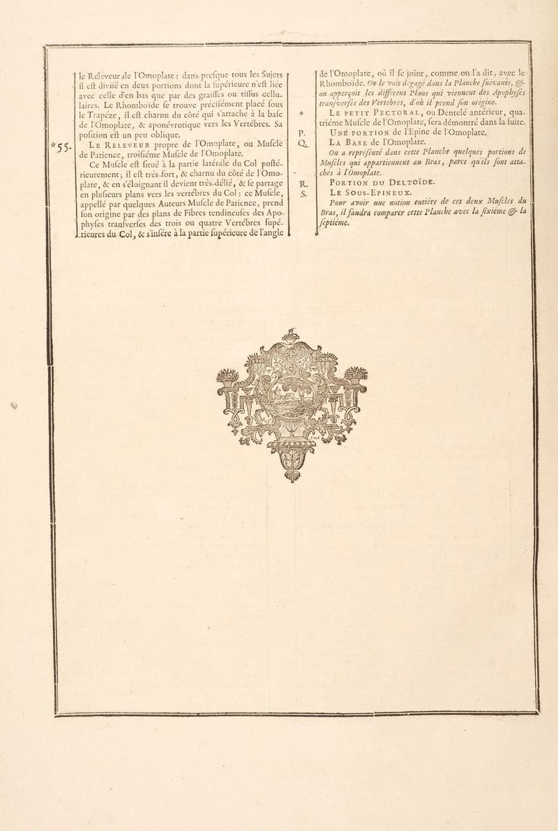 avec celle d'en bas que par des graifles où tiflus cellu_ G es PRE el 2 , laires. Le Rhomboïde fe trouve précilément placé fous | de l'Omoplate, & aponévrotique vers les Vertébres. Sa | pofition eft un peu oblique. de Patience, troifiéme Mufcle de l'Omoplate. Ce Mufcle eft fitué à la partie latérale du Col pofté- rieurement ; il eft très-fort, & charnu du côté de l'Omo- en plufñeurs plans vers les vertébres du Col: ce Mufcle, sranjuerfes des Vertébres, d'où il prend fon origine. LE PETIT PECTORAL, ou Dentelé antérieur, qua- UNE rorRTION de l'Epine de l'Omoplate. LA Base de l'Omoplate. | On a ropréfènté dans cette Plancie quelques portions de | PORTION Du DELTOIDE. LE SOus-EPINEUX. Pour avoir une notion entière de ces deux Mujcles du Bras, 1l faudra comparer cette Planche avec La fixième ©r la SU E SU PT, EL EE EAN We e. ; 4, Û 4 f SG | 1) S y C\ VEN RE 1e 12 | | VE G/1} 11024782 SEEN £ ESA ŸE= À RS ÈS h 3 < & D) CAE nr TO TTL run F gere NET ae sn G ==}; / di ù At = Ÿ INT! fs ÆX f } >, } = K RONA TR fi Pa + RUN /1/ M! 4 RATE t
