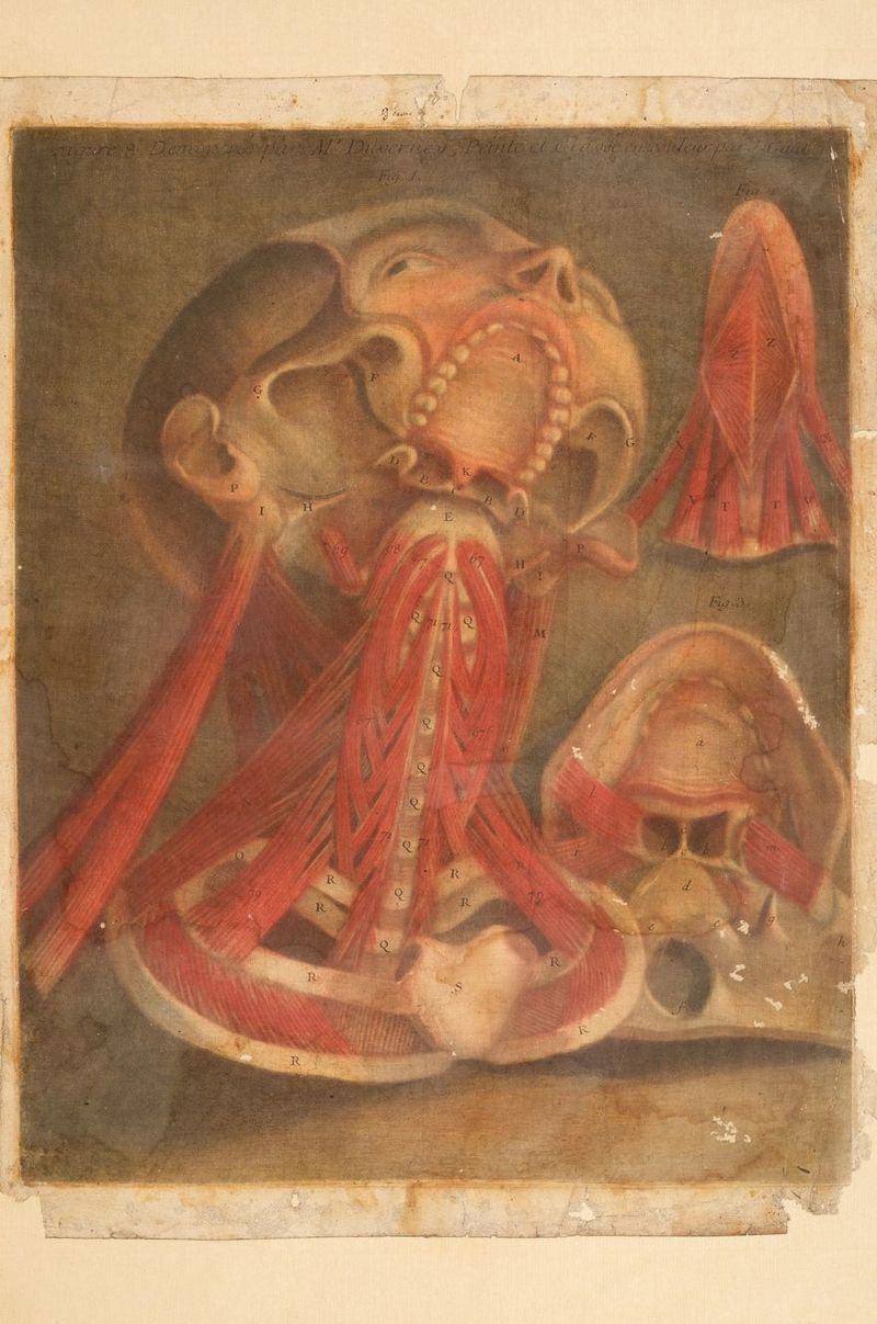 ; Dar TEE et PETER AIEN) se sis AFS