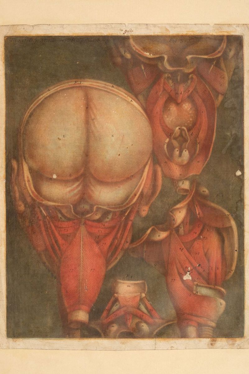 DEEE PE OT SE TT POS MERS ee UE eee uns bite dan nie 433 D Li Re est