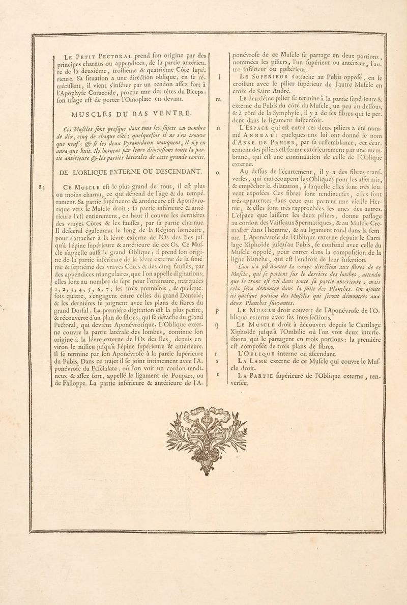MUSCLES DU BAS VENTRE. Ces Mufèles font prefque dans tous les fujets au nombre de dix, cinq de chaque côté ; quelquefois l ne sen trouve que neuf; © ff les deux Pyramidaux manquent, il ny en aura que huit. Is bornent par leurs dimenfions toute la par- tie antérieure @p les parties latérales de cette grande cavite. DE L'OBLIQUE EXTERNE OÙ DESCENDANT. | Ce Muscee ceft le plus grand de tous, il eft plus lou moins charnu, ce qui dépend de l’âge &amp; du tempé- ramént. Sa partie fupérieure &amp; antérieure eft Aponévro- cique vers le Mulcle droit : fa partie inférieure &amp; anté- ricure left entiérement, en haut il couvre les derniéres Il defcend également le long de la Région lombaire, pour s'attacher à la lévre exrerhe de l'Os des Iles juf- qu'à l’épine fupérieure &amp; antérieure de cet Os. Ce Mut- cle s'appelle auffi le grand Oblique; il prend fon origi- ne de la partie inférieure de la lévre externe de la fixié- me &amp; feptiéme des vrayes Côtes &amp; des cinq faufles, par des appendices triangulaires, que l'on appelle digitations; | elles font au nombre de fepc pour l'ordinaire, marquées 1,233 45 5, 67; les trois premières , &amp; quelque- fois quatre, s'engagent entre celles du grand Dentelé; &amp; les derniéres fe joignent avec les plans de fibres du grand Dorfal . La premiére digitation eft la plus petite, | &amp;récouverte d'un plan de fibres, qui fe détache du grand Peétoral, qui devient Aponévrotique. L'Oblique exter- | ne couvre la partie latérale des lombes, continue fon origine à la lévre externe de l'Os des Iles, depuis en- viron le milieu jufqu'à l'épine fupérieure &amp; antérieure. | 11 fe termine par fon Aponévrofe à la partie fupérieure du Pubis. Dans ce trajet il fe joint intimement avec l'A- ponévrofe du Fafcialata, où l’on voit un cordon tendi- neux &amp; aflez fort, appellé le ligament de Poupart, ou de Falloppe. La partie inférieure &amp; antérieure de l'A- tre inférieur ou poftérieur. LE SUPERIEUR sattache au Pubis oppolé , en fe croifant avec le pilier fupérieur de l’autre Mufcle en croix de Saint Andre. | LE deuxième pilier {e termine à la partie fupérieure &amp; | externe du Pubis du côte du Mufcle, un peu au deflous, | &amp; à côté de la Symphyle; il y a de fes fibres qui fe per. | dent dans le ligament fufpenfoir. : L'EsPACE qui eft entre ces deux piliers a été nom. || mé ANNEAU: quelques-uns fui,ont donné le nom | rement des piliers eft fermé extérieurement par une mem. [f brane, qui eft une continuation de celle de l'Oblique EXtErNE. | Au deflus de l'écartement, il y a des fibres tran£ || verfes, qui entrecoupent les Obliques pour les affermir, L'efpace que laiflent les deux piliers, donne pañage |} ®) ‘ , ] A e . ï L'on na ph donner la vraye dire&amp;tion aux fibres de ce \h ict quelque portion des Mufcles qui feront démontrés aux | deux Planches fuivantes. Le Muscee droit couvert de l'Aponévrofe de l'O: | blique externe avec fes interfections. l J Le Muscre droit à découvert depuis le Cartilage étions qui le partagent en trois portions: la premiére cft compofée de trois plans de fibres. | L'OBLIQUE interne ou afcendant. La Lame externe de ce Mufcle qui couvre le Muf | LA PARTIE fupérieure de l'Oblique externe , ren- || verfée, |