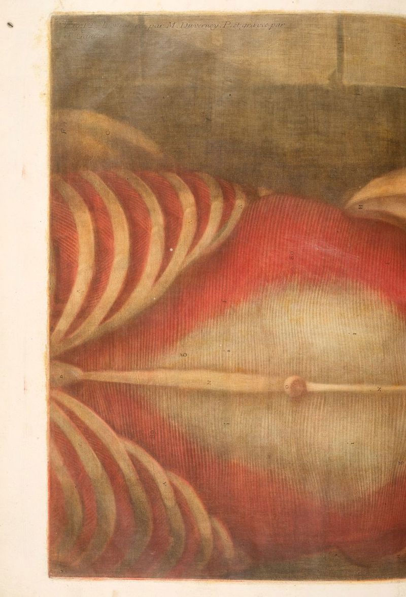 FANES Sue Si orge F. : Re 47 DA un cd mars sy * AOL Sept ee er % : és ie ce sn