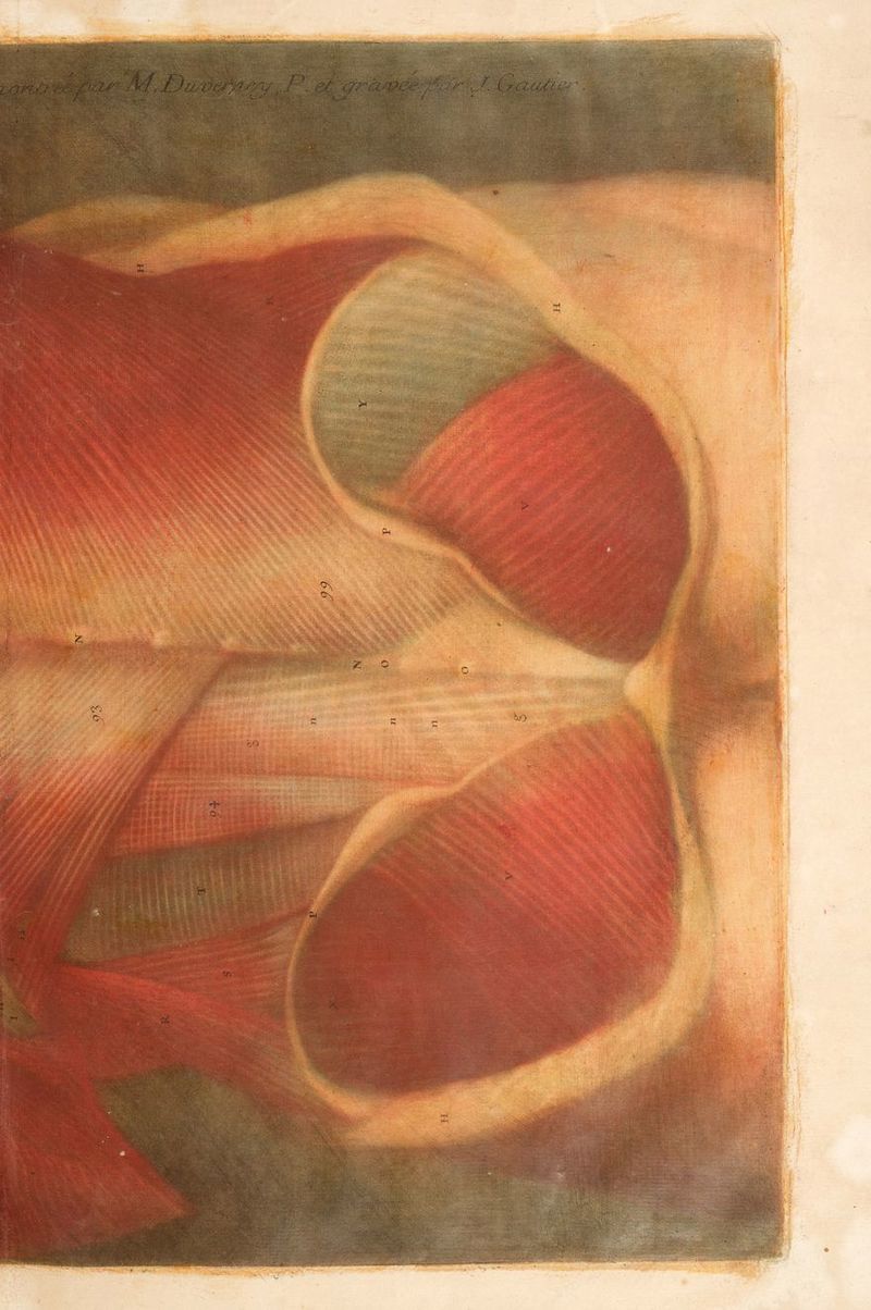 $ rs LÉ ADO St ane arm be sg oh Vans Ma ve mne Ra: