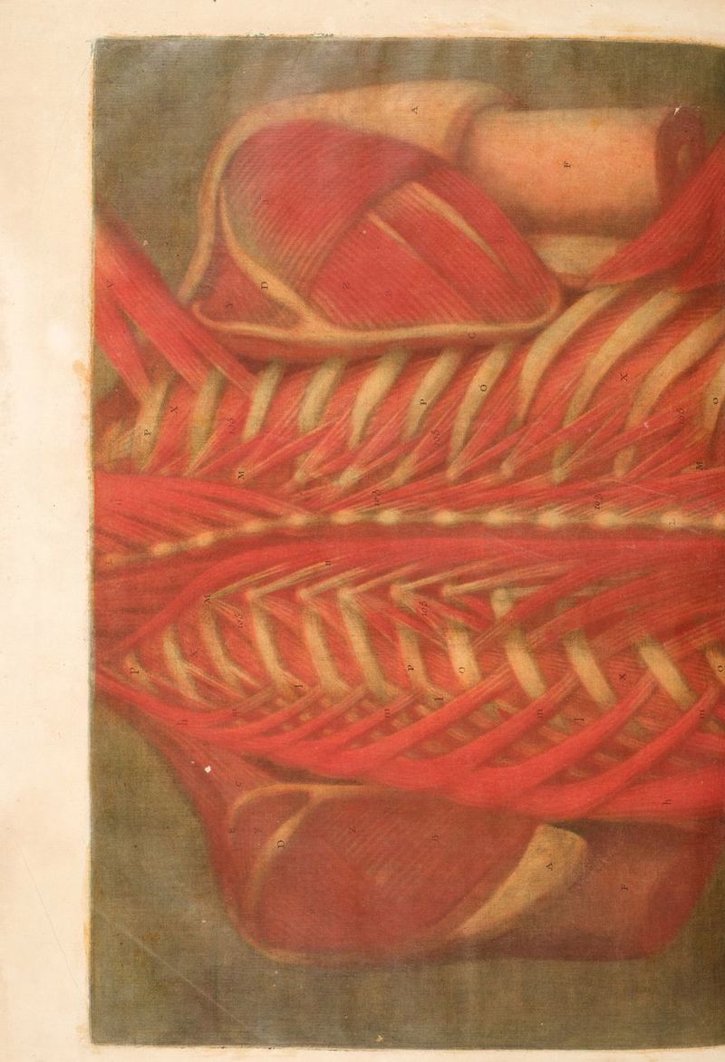 an FETE à d & S ES ' CRE Ets ESS HP ” = s