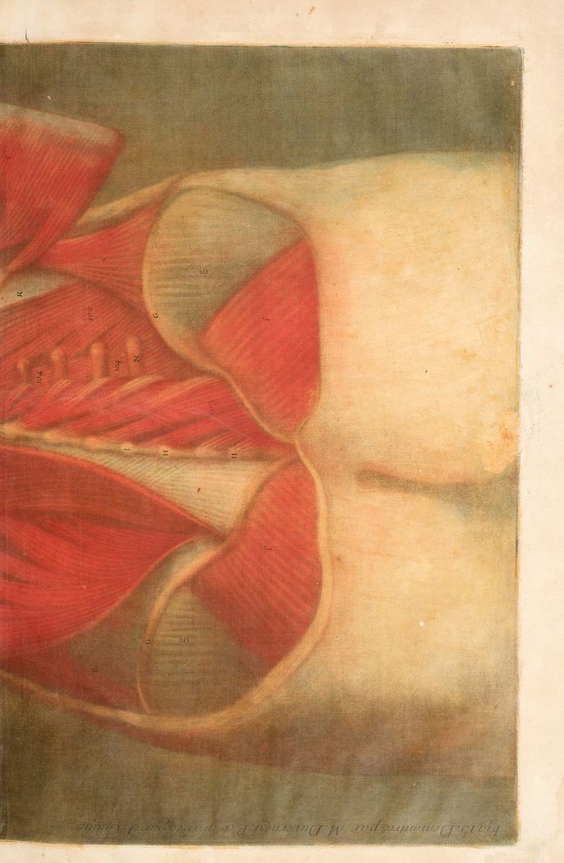 OR 45% ARE er RO: Autre RSA 1 Prat VS