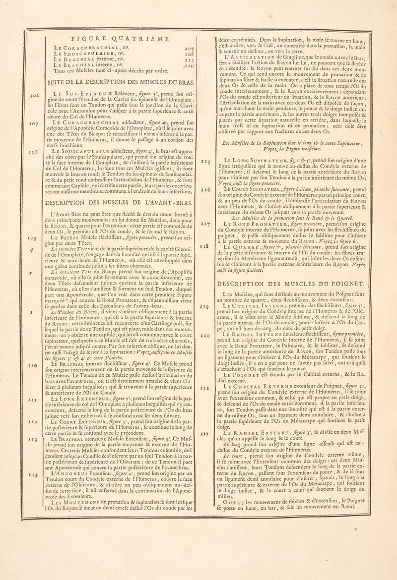 106 108 109 FA 114 113 LI4 FI G'UR E. QU ATRIEME LE CoRACOBRACHIAL, n0, 107 LE SOUSCAPULAIRE, n°. o$ LE BRACHIAL Externe, no, 113 LE BRACHIAL interne, no, Tous ces Mulcles font ci-après décrits par ordre. LE Sus-Erx:neu x KReleveur, fgvre. 3°, prend fon ori- rieure du Col de l'Humerus. LE CoRACOBRACHIAL adduéteur, figure 4, prend fon nerfs brachiaux. mouvoir le bras en rond ; le Tendor du fus-épineux du Soufcapulai. comme une Capfule, qui fortifie cette partie, leurs parties extérieu- res ont aufli une membrane commune à l'endroit de leurs infertions. deux principaux mouvemens: on lui donne fix Mufcles, deux pour la Béxion, & quatre pour l’extenfion: cette partie eft compofée de deux Os, le premier eft lOs du coude, & le fecond le Rayon. Le Bicers Mufcle fléchifleur, fgure premiére, prend {on ori- gine par deux Têtes. La premiere T ète vient de la partie fupérieure de la cavité Glenoï- de de l'Gmoplate, s'engage dans la finuofité qui eft à la partie fupé- une gaîne continuée jufqu’à fes fibres charnuës, La deuxième Tète du Biceps prend fon origine de l’Apophife coracoïde, où elle fe joint fortement avec le coracobrachial, ces deux Têtes defcendent jufques environ la partie inférieure de l'Humerus, où elles s’uniffenc & forment un feul Tendon, duquel part une Aponévrofe , que l’on voit dans cette premiére Figure marquée *, qui couvre le Rond Pronateur, & s'épanouiffant vient fe perdre dans celle des Extenfeurs de Pavant-bras, Le Tendon du Biceps, il vient s’inférer obliquement à ia partie inférieure de Féminence , qui eff à la partie fupérieure & interne du Rayon : cette éminence eft recouverte d’un Cartilage poli, fur lequel la partie de ce T'endon, qui eft plate,roule dans ces mouve- mens: on y obferve une capfule, qui lui eft commune avec le court ne auf l’ufage de fervir à la fupination : Voyez auf pour ce Mufile les figures 3° © 4° de cette Planche. | Le BrAcuraz interne fléchifleur , feure 4e. Ce Mufcle prend {on origine intérieurement de la partie moyenne & inférieure de l'Humerus. Le Tendon de ce Mufcle pañle deffus articulation du bras avec l’avant-bras, où il eft étroitement attaché & vient s’in. férer à plufieurs inégalités ; qui fe trouvent à la partie fupérieure tie inférieure du col de FOmoplate 4 plufieurs inégalités qui s’y ren- contrent, defcend le long de la partie poftérieure de Os du bras jufque vers fon milieu où il fe confond avec les deux fuivans. Le CourT EXTENSEUR, figure 3°, prend fon origine dela par- tie poftérieure & fupérieure de lHumerus , fe continue le long de cette partie & fe confond avec le précédent, cle prend fon origine de la partie moyenne & externe de l’'Hu- merus. Cestrois Mufcles confondent leurs Tendons enfemble, def tie poftérieure & fupérieure de lOlecrane : de ce Tendon il part une Aponévrofe qui couvre la partie poftérieure de Pavant-bras, L'ANCONEUS Extenfeur, faure 2°, prend fon origine par un Tendon court du Condyle externe de l'Humerus ; couvre la face yrofe des Extenfeurs. Les MouvEeMENs de pronation & fupination fe font lorfque à : | £ ns ñ X1$ T16 117 L18 tF9 [20 T2X 122 deux extrémités. Dans la Supination, la maïn fe tourne en haut. c'eft-à-dire, vers le Ciel, au contraire dans la pronation, la main fe tourne en deffous, ou vers la terre. L’ARTICULATION de Ginglime,que le coude a avec le Bras, fupination libre & facile à exécuter, c’eft la fituation naturelle des cupent la partie antérieure , & les autres trois doigts font pofés & ! e e placés par cette fituation naturelle en arriére, dans laquelle la obfervé par rapport aux fractures de ces deux Os, Les Mufcles de la Supination [ont le long @r le court S apinateur V'oyex, La Figure troificme. Le Lone SUuPINATEUR, fg.1° @3°, prend fon origine d’une ligne irrégulière qui fe trouve au-deflus du Condyle externe de l’'Humerus, il defcend le long de la partie antérieure du Rayon 7 oyex auffi la figure premiére. , LE CourT SUPINATEUR , Pure fixième, planche fuivante, prend fon origine du Condyle externe de l'Humerus parun principe court, & un peu de lOs du coude ; il embraffe l'articulation du Rayon avec l'Humerus, & s’infére obliquement à la partie fupérieure & Les Mufcles de la pronation [ont le Rond € le Quarre. LE RONDPRONATEUR, fgure premiére, prend fon origine du Condyle interne de l'Humerus, fe joint avec les fléchiffeurs du poignet , & pañle obliquement deflus le fublime pour s’inférer LE QUARRE, faure 7°, planche fuivante , prend fon origine de la partie inférieure & interne de l'Os du coude: fes fibres tra- verfent la Membrane ligamenteufe, qui joint les deux Os enfem- DESCRIPTION DES MUSCLES DU POIGNET. Les Mufcles, qui font deftinés au mouvement du Poignet font au nombre de quatre , deux fléchiffleurs , & deux extenfeurs. LE CuBiTaz INTERNE premier des fléchiffeurs, fgsre se, prend fon origine du Condyle interne de l'Humerus & de lOlé- da partie interne de lOs du coude, pour s’inférer à FOs du Car- pe, qui eft hors de rang, du côté du petit doigt. LE RADtAL INTERNE deuxiéme fléchiffeur, figure premiére, prend fon origine du Condyle interne de l'Humerus, il fe joint avec le Rond Pronateur, le Palmaire, & le fublime, & defcend le long de la partie antérieure du Rayon, fon Tendon pañle fous un ligament pour s’inférer à l'Os du Métacarpe , qui foutient le doigt indice, il y en a qui pour ne l'avoir pas fuivi, out crü qu'il s’attachoïit à l’Os qui foutient le pouce. LE Porcner eft étendu par le Cubital externe, & le Ra- Le CugsiTaz ExTERNE extenfeur du Poignet, fawre 2e, prend fon origine du Condyle externe de l’'Humerus, il fe joint avec l’extenfeur commun, & celui qui eft propre au petit doist, & defcend de l’Os du coude extérieurement, À la partie inférieu- re, fon Tendon pañle dans une finuofité qui eft à la partie exter- ne du même Os, fous un ligament derni annulaïre, & s’infére à doigt. Dr RADiALExTERNE, Pere 3°, fe divife en deux Muf- cles qu'on appelle le long & le court. Ze long prend fon origine d’une ligne offeufe qui eft au - deflus du Condyle externe de l'Humerus. \ Le court , prend fon origine du Condyle externe meme, il fe joint avec l’Extenfeur commun des doigts : ces deux Muf cles s’uniffent , leurs T'endons defcendent ie long de la partie ex- un ligameñt demi annulaire pour sinférer ; fçavoir , le long à la partie fupérieure & externe de l'Os du Métacarpe , qui foutient le doigt indice , & le court à celui qui foutient le doigt du milieu, OuTreE les mouvemens de fléxion & d’extenfion, le Poignet fe porte en haut, en bas, & fair les mouvemens en Rond, à RARE S