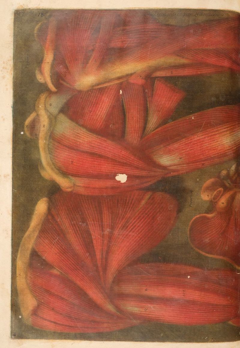 ARTS ail Res HIS A 5 $ D RE 1 LA HIS 2 a 1% RMPTENTETS