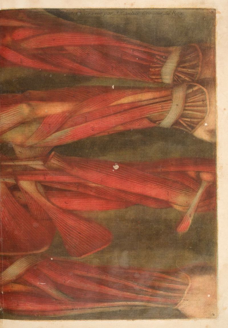 PE ges : ET re A Fe De ms 0 $ * ES DSTSS ME SERR) pairs ê né ALU ORE te arr dt) PEL i aasias rie