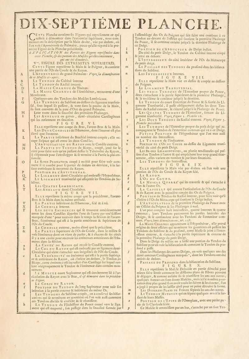 2z FX HN One Oe ARS &amp; N ETTE Planche contient fix Figures qui repréfentent ce qui reftoit à démontrer dans lextrémite fupérieure , nous com. mencerons la defcription par la Main droite, vüe par dedans, où mire Figure de la Planche précédente. cette Planche, Cr des portions des Mufcles qu'elles contiennent, | qui ont ete démontrés. MAN IODRE DES EXTREMINPES, SUPERIEURES: CETTE Figure repréfente la Main &amp; le Poignet, &amp; contient une partie de l'Os du Coude &amp; du Rayon. L’'APONEVROSE du grand Palmaire: Woyex la démonfration Le TENDON du Cubital interne LE TENDON du Radial interne. LA MASssE CHARNUE du Thénar. La Masse CHARNUE de lAntithénar, recouverte d’une Membrane. | | Quelques-uns des Tendons des Mufcles Lombricaux. Les TENDONS du Sublime au-deflous du ligament tranfver- fal , fous lequel ils paflent, &amp; vont dans la paume de la Main, ils font couverts de la pate d’Oye du grand Palmaire, Leur route dans la finuofité des premiéres Phalanges. Les ANNEAUX ou gaines, demi- circulaire Cartilagineux qui les retiennent en fituation. PS TL Gr VERRE CVARE ELLE repréfente une coupe du Bras, lavant-Bras &amp; la Main. Les Deux ConpiLzesdelHumerus, dont l’interne eft plus élevé que lexterne, LA PAaRTiE inférieure du Brachial interne coupée ; elle oc- cupe l’efpace qui eft entre les deux Condiles. L'ARTICULATION bu Rayon avec le Condile externe. LA PARTIE pu TENDON du Biceps, coupé, jetté fur le côté pour faire voir qu’en paffant deflus la Tubérofité du Rayon, il s'épanouit pour l’envélopper &amp; fe cermine à la Partie la plus en- foncée. | LE RoND PRONATEUR coupé à moitié pour faire voir com- ment il {e courbe pour fe porter de dedans en derriére, à la fur- face extérieure &amp; mayenne du Rayon. PORTION DE L'ANTITHENAR. LE LicAMEenT demi-Circulaire qui embrafle lHypothénar. LE LiGAMENT tranfverfal qui aflujectic les Tendons du Su- blime. | LES QUATRE LoOMBRICAUX. | Les ANNEAUx demi.Circulaires. RE ER AUTRE CSC RE 2° CE à EL LE repréfente la même coupe que la précédente, l’avant- Bras &amp; la Main dans la même attitude. LA PARTIE inférieure de l'Humerus, fcié &amp; à nû. LE CoNDiLeE interne. | LES DEUx EÉMINENCES qui fe trouvent antérieurement entre les deux Condiles féparées lune de l'autre par une fciflure marquée d’une * pour recevoir dans le temps la fléxion de l’avant- Bras, l’éminence qui eft à la partie antérieure &amp; fupérieure de POs du Coude, Le ConNpiLe externe, moins élevé que le précédenr. LA PARTIE fupérieure de l'Os du Coude , dans le milieu fe voit l’éminence dont on vient de parler, &amp; à chacun de fes côtés il y a une cavité pour recevoir les éminences antérieures de l’'Hu- merus dans la fléxion. La Cavite pu Rayon qui recoit le Condile externe. LE Cor pu Rayon quieft embraflé par un ligament demi- Circulaire qui vient s'attacher aux inégalités de l'Os du Coude, _ LA Tu8FRroOS1ITE ou éminence qui eft a la partie fupérien- re &amp; antérieure du Rayon, où s’infére en dedans, le Tendon du Biceps , cette éminence eft incruftée d’un Cartilage fur lequel rou- vemens. TE Musczre court Supinateur qui eff étroirement lié à l’ar- | ciculation du Rayon avec le Bras, 5 cf démontré dans la précéden- te Fiqure, Le Corps Du RAYON. PorTron pu TENDON du long Supinateur pour voir fon infertion à la partie externe &amp; inférieure du même Os. | Les TENDoONSs du Sublime coupés, on a confervé fes bifur- cations qui fe rerminent en gouttiére où l’on voit aufi comment ces Tendons divifés fe croifent &amp; fe réuniflent. LE TENDON du Fléchiffeur du Pouce coupé vers Île liga- ment qui eft emporté ; fon pañlage dans la finuofité formée par PA es 0 * So CTA &amp; P l'affemblage des Os du Poignet qui fait faire une courbure à ce Tendon au-devant de l’offelet qui foutient la premiére Phalange juiqu’à la dernière Phalange de ce Doist. | PORTION DE L'ABDUCTEUR du Doist indice, INT ? ° - T = ° ! Du côté du petit Doiïgt, le Tendon du Cubital interne coupé L'INrerossEux du côté intérieur de l'Os du Métacarpe du petit doigt, | LE PassaAcE DES TENDONS du profond dans les bifurca tions du Sublime. | | LES INTEROSSEU x internes. SRE TOME RCE OV SIM Ezre repréfente la Main vûe en deflus &amp; coupée au deffous du Poignet. | LE LIGAMENT TRANSVERSAL. Les TRois TENDONS de l’Extenfeur propre du Pouce, deux s’attachent à la partie fupérieure de la premiére Phalange &amp; le troifiéme fe continue jufqu’a la derniére. LE TENDON du court Extenfeur du Pouce &amp; fà fortie du Li- gament Tranfverfal , il pañle obliquement deflus les deux Ten- dons du Radial externe, &amp; s'étend jufqu’a la Phalange du Pouce. LEs QuATRE TENDONS de l’Extenfeur, fortant du Li- gament tranfverfal. 7/oyex Figure x. Planche 16. Les Deux TENDONS du Radial externe. Woyex Figure 3. Planche précédente. Les TENDONS de l’Extenfeur propre du petit doigt qui ac- compagnent le Tendon de l’exrenfeur commun qui va à ce Doigt. PETITE PorTion de l’Hyÿpothénar que l’on met auf au nombre des Interofleux. LE TENDON de lIndicateur. | PorTion DE L'Os pu Coupe au-deffus du Ligament tranf- verfal du côté du petit Doigt. Les BRiDES LIGAMENTEUSES , ou plutôt tendineufes qui paf- fent d’un Tendon à l’autre &amp; qui empêchent leur trop grand écar- tement, elles varient en nombre &amp; par leurs fituations. Les TENDONS des Interoffeux. PAARAG TI OARNT EC ER ELLE repréfente la Main vüe par dedans où l'on voit une L'E-R AY ON. L'OSDu- COUDE. LE Muscze QuaRrReE qui les traverfe &amp; qui s'attache à lun &amp; l’autre Os, La CaAPsuLLE qui couvre l'articulation de lOs du Coude &amp; du Rayon avec la premiére rangée des Os du Poignet. PorTIonN du Tendon du Radial interne, pour faire voir qu'il s'infére à l’Os du Métacarpe qui fourient le Doigt indice, L'ARTICULATION de la première Phalange du Pouce avec un Offelet du Poigner &amp; les Phalanges à nud. L'on peut compter huit intérofleux, quatre internes &amp; quatre ; leurs Tendons parcourent les parties latérales des Doigts, &amp; fe confondent avec les Tendons de lPextenfeur com- mun, Woyex leurs démonjfrations , n°. 1 38. La Masse CHARNUE appartenant à l’Hypothénar, elle prend origine de deux offelets qui terminent les goutriéres où pañlent les Tendons du Sublime &amp; du profond , cetre Mafle fe joint à l'inter- offleux externe, &amp; s'attache à la partie fupérieure &amp; externe de la premiére Phalange du petit Doigt. | Dans le Doigt du milieu on a laïllé une portion du Tendon du Sublime pour en voir la bifurcation &amp; comment le Tendon du pro- fond y pañle. | | Dans les Phalanges des autres Doigts, on voit quelques uns des demi-anneaux Cartilagineux marqués *, dont les Tendons ont été retirés de dedans. PAssAGE pu ProronND dans la bifurcation du Sublime. PO Ce RTE RE ELrLe repréfente le Mufcle Delroïde en partie détaché pour mieux faire fentir comment les différens plans de Fibres peuvent fe dégager, &amp; comme enfuite ils fe réunifient les uns aux autres ; quelques Auteurs en font douze Mufcies, mais ici le nombre pour- roit en être plus grand fion avoir voulu les fuivre &amp; les écarter, l’on a jugé à propos de les laïffer ainfi pour ne point détruire fa forme, Les DirreRENS PLans DE FIBRES féparés les uns des autres. Le TENDON Miroyen quienfépare quelques-uns à la fur- face de leurs Mafes. PorTION DE L'EriNE de l'Omoplate, avec une petite pa-- tie de la Clavicule fciée. ; | Ce Mufcle fe retreciflant par en bas, s'attache par un fort Ten- j PE 1 A — PE = . = cn ne EE 7 - LT EN = ARE RSR POS. OP - <E2 - nonRERREE au D »