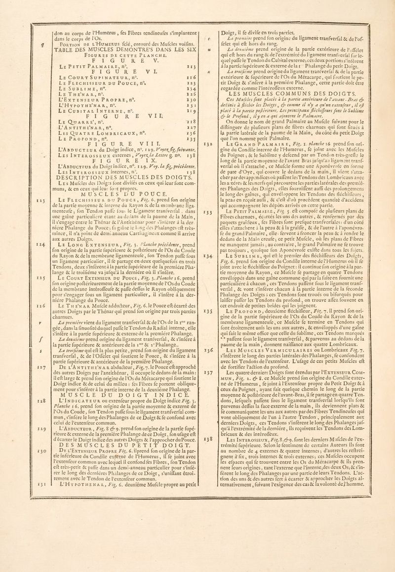 don au corps de l’Humerus , fes Fibres tendineufes s’implantent dans le corps de FOs, PorrTioN DE L'HUMERUS fcié, entouré des Mufcles voifins. TABLE DES MUSCLES DEMONTRE’S DANS LES SIX FIGURES DE CETTE PLANCHE, ESS GO CE Er Le PETIT PALMAIRE, n°. 113 RSC RAR Er, AVE Le CourT SUPINATEUR, n°. 116 LE FLECHISSEUR DU POUCE, n% 123 LE SUBLIME, n°. X 34. LE THENAR, n°. {26 L'EXTENSEUR PROPRE,n° 130 L'HYPOTHENAR, n°. 131 LE CuBiTAL INTERNE, n°. 119 | Pl eGe Une R ECSN ALI LE QuaARRE’,n°. | 2118 L'ANTITHENAR, n°, L 127 LEs QUATRE LOMBRICAUX,N°. 136 Le PRoronD, n°. 13$ Pi Gr RE IVHREE L’'AspucTEeur du Doigtindice, n°. 129, Woyex fig. faivante, Les INTEROSsEUx externes, /’oyex la Leitreg. no. 138 ane l CG UT RAS LE L'Aspycreur du Doigtindice, n°, 129. Woy. la fig. précédente. LES ÎNTEROSSEUX internes, n°, ï DESCRIPTION DES MUSCLES DES DOIGTS. | Les Mufcles des Doigts font divifés en ceux qui leur font com- |muns, &amp; en ceux qui leur font propres. | MU S'CGL'E SFONU LP O'UCE. Le FLecuisseur Du Pouce, F3. 6. prend fon origine | de la partie moyenne &amp; interne du Rayon &amp; de la membrane liga- menteufe ; fon Tendon pale fous le Ligament tranfverfal , dans une gaîne particuliére étant au dedans de la paume de la Main, lil s'engage entre le Thénar &amp; l’Antichénar pour s’iniérer à la der. nicre Phalange du Pouce; fa gaine le long des Phalanges eft très- mince, il n’a point de demi-anneau Cartiiagineux comme il arrive aux autres Doigrts. LE Lonwc ÉxTENSEUR, Fig, 3. l’lanche précédente, prend fon origine de la partie fupérieure &amp; poftérieure de l’Os du Coude du Rayon &amp; de la membrane ligamenteufe , fon Tendon paffe fous un ligamenc particulier , il fe partage en deux quelquefois en trois Tendons, deux s’inférenca la partie fupérieure de la premiére Pha- lange &amp; le troifiéme va jufqu’à la derniére où il s’infére. pour s'engager fous un ligament particulier .. il s'infére à la der- niére Phalange du Pouce, autres Doigts par le Thénar qui prend fon origine par trois parties charnues. | La premiére vient du ligament tranfverfal &amp; de l'Os de la r°°° ran- gée , dans la finuofité duquel pañle le Tendon du Radial interne, elle s’infére à la partie fupérieure &amp; externe de la premiére Phalange. La deuxiéme prend origine du ligament tranfverfal, &amp; s’infére à la partie fupérieure &amp; antérieure de la 1°* &amp; 2‘°Phalange.. La troifiéme qui eft la plus petite, prend fon origine du ligament tranfverfal, &amp; de l’Oflelec qui foutient le Pouce, &amp; s’infére à la partie fupérieure &amp; antérieure de la premiére Phalange. DE L'ANT:YTHENAR abducteur, Fe. 7. le Pouce eftapproché des autres Doigts par l’antithénar, il occupe le dedans de la main: il eft large &amp; prend fon origine de l’'Os du Métacarpe qui foutient le ment pour s’inférer à la partie interne de la deuxiéme Phalange. MUSCLE LD DU: D 0 FE T EN D'ECHE. l’Os du Coude, fon Tendon paffe fous le ligament tranfverfal com- mun, s’infére le long des Phalanges de ce Doigt &amp; fe confond avec celui de Fextenfeur commun. . L’ABDucTEUR, Fig. 8 9. prend fon origine de la partie fupé- ricure &amp; externe de la première Phalange de ce Doigt, ufage eft d'écarter le Doigt indice des autres Doïgts &amp; l’approcher du Pouce. DESMUSCLES- DU-PETIT DOIGT: De L’'Exrenseur ProPrE Fée. 6. ilprend fon origine de la par- | tie inférieure du Condile extérne de l'Humerus, il fe joint avec l’extenfeur commun avec lequel il confond fes Fibres, fon Tendon cement avec le Tendon de l’exrenfeur commun. L'HYPOTHENAR, Fig. 6. deuxième Mufcle propre au petit La premiére prend fon origine du ligament tranfverfai &amp; de l'of La deuxième prend origine de la partie extérieure de loffelet qui eft hors du rang &amp; de l'extrémité du ligament tranfverfal {ar le- quel paffe le Tendon du Cubital exrerne; ces deux portionss'inférent à Ja partie fupérieure &amp; externe de la x Phalange du petit Doior. La troifième prend origine du ligament tranfverfal &amp; de la partie extérieure &amp; fupérieure de FOs du Métacarpe, qui foutient le pe- LES MUSCLES COMMUNS DES DOIGTS. Ces Mufcles font placés à la partie antérieure de l'avant Bras ex On donne le nom de grand Palmaire au Mufcle us pour le que l’on nomme petit Palmaire. LEGRAND PALMAIRE, Fig. 3. planche 16 prend fon ori- gine du Condile interne de l'Humerus, fe joînt avec les Mufcles qui accompagnent les dépôrs arrivés en cette partie. Le Perir Parmarïre, Fig 5.eft compofé de plufieurs plans de Fibres charnues, écartés les uns des autres, &amp; renfermés par des e exifte dans tous les fujets. LE Suriime, quieftie premier des fléchifileurs des Doists, laifler paffer les Tendons du profond , on trouve aflez fouvent en cet endroit de petires brides qui les joignent, | LE PRoroND, deuxiéme fléchifleur, Fiz, 7. il prend fon ori- gine de la partie fupérieure de l’Os du Coude du Rayon &amp; de la membrane lisamenteufe, ce Mufcle fe termine en Tendons qui font étoitement unis les uns aux autres, &amp; envéloppés d’une gaîne qui fair le même office que celle du fublime, ces Tendons marques ** paflent fous le ligament tranfverfal, &amp; parvenus au dedans de la paume de la main, donnent naïflance aux quatre Lombricaux. Les MuscLes VERMICULAIRES ou Lombricaux Fig. 7, s’inférent le long des parties latérales des Phalanges, fe confondent avec les Tendons de l’extenfeur. L'ufage de ces petits Mufcles eft de fortifier l’aion du profond. Les quatre derniere Doigts font étendus par lPExXTENSEUR Com- MUN , Fig. 2. @* 8. ce Mufcle prend fon origine du Condile exter- ne de l’'Humerus , fe joint à l'Extenfeur propre du Petit Doigt &amp; à ceux du Poignet, ayant fait quelque chemin le long de la partie moyenne &amp; poftérieure de l’avant-Bras, il fe partäge en quatre T'en- dons, lefquels paflent fous le ligament cranfverfal lorfqu’ils font parvenus deflus la face externe de la main, ils deviennent plats &amp; fe communiquent les uns aux autres par des Fibres Tendineufes qui vont obliquement de l’un à l’autre Tendon , principalement aux derniers Doigts, ces Tendons s’inférent le long des Phalanges juf- qu’à l'extrémité de la derniére, ils reçoivent les Tendons des Lom- bricaux &amp; des intérofleux. Les INTEROSSEUx, Fig.8.6r 9. font les derniers Mufcles de l’ex- trémité fupérieure. Selon le fentiment de certains Auteurs ils font au nombre de 4 externes &amp; quatre internes; d’autres les reftrei- us à fix, trois internes &amp; trois externes; ces Mufcles occupent es efpaces qui fe trouvent entre les Os du Méracarpe &amp; ils pren. nent leurs origines, tant l’externe que l’interne,des deux Os; &amp; s’in- férent le long des Phalanges par une partie de leurs Fendons. L’ac- tion des uns &amp; des autres fert à écarter &amp; approcher les Doigts al- ternativement, fuivant l'exigence des cas &amp; la volonté de homme, | | |