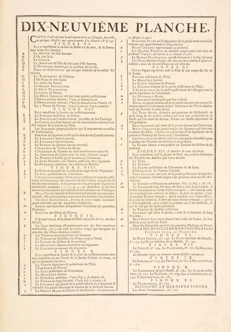 TS OS RAR HHDAOS»> mao 5°ŸQ APN S EX Se mA RO Tp FN S Hu tn em #4 ,Q NETTE Table eff pour la defcription de la 20° Planche, hors celle sde quelques Mufiles qui appartiennent à la Planche x8° @ 19°. PROG A RTE ENT | ELLE repréfente la moitié du Baflin vû de côté. &amp; le Femur dans toute fon étendue. à La MottiE de l'Os Sacrum. L'Os DES ÎLES, LECOCCIX. | | La Joncrion de l'Os des Iles avec l'Os Sacrum. L'OuvErTURE formée par la jonction de ces Os. Bosse OU ConNvExiTe qui marque l'endroit de la cavité Co tyloïde. | LA TuBE RoSITE de l'Ifchion. L'Os Pusis &amp; fon Epine. LA TESTE du Femur. LE GRAND TROCHANTER. LE PETIT TROCHANTER. LE Corps du Femur. Les Deux ConDiLes vüs par leurs parties poftérieures, L'OBTURATEUR interne, /’oyex fx démonffration. L'OBTURATEUR externe, Voyez lu démonffration Planche 18. La 3° TESTE du Triceps, Voyez ci-devant Figure premiére. one AG UE RE PM EzLe repréfente la Jambe vüe poftérieurement. La PorTIoN inférieure du Femur. LA SurFACE du Condile interne , incruftée de fon Cartilage. LE CARTILAGE femi-lunaire qui eft intermédiaire entre le Con- dile interne &amp; la Cavité du Tibia. | Les LicAMENS perpendiculaires qui fe rencontrent au milieu de l'articulation. PorTIoN du ligament croïfé qui fe détache du Gondile externe. LE LicaAMENT latéral externe, LE LicaAMmeEnT latéral intérne. LE TENDON du Jumeau interne renverfe. L’INsErTION du Tendon du Biceps. L'INSERTION du Tendon du demi-membraneux renverfé. La JoncTion du Solaire avec les deux Jumeaux coupés. LE TENDON d’Achile qui fe termine au Calcaneum. LE Lonc Péronier, fon Tendon pañle fous deux lisamens, LE PE’ RONIER antérieur, on a décrit ces Mufcles. LPS PRAGSAUE AR ES Ve LIT Le Prep vû renverfé fur le côté &amp; la coupe de fes Tégumens. La Face poftérieure du Calcaneum, L’AroNEvROSE ou pate d’Oye prend naiffance de [a partie pofté- rieure du Calcaneum, elle couvre le Mufcle fublime auquel elle eft étroitement attachée, &amp; fe partage en cinq principales Apendices rendineufes marquées 1,2, 3,4, 5; ces Apendices fe divifent encore en deux parties qui s’attachent latéralement aux Phalanges. DE LA PARTIE latérale du Calcaneum fe détache une autre Apo- névrofe, elle couvre prefque dans route fon étendue l’'Hypothénar. Ces DEUX AroNEVROSES, le long de leurs trajets communi- quent entr’elles par des Apendices tendineufes. BANDES qui traverfent obliquement l’extrémité des premiéres Phalanges. PorTionN des Fibres du Thénar. Fra REC EST EX L’AroNE’vROSE de la plante du Pied renverfée fur les derniers Orteils. LA FAce intérieure eft entrecoupée par des filets tendineux tranfverfals : on y voit aufli des points rouges qui marquent les Les TENDONS du profond hors de fituation. LE TENDON du fléchifleur du Pouce ou gros Orteil. LE TENDON du fublime &amp; du profond, LA MALLEOLE interne recouverte des tégumens. LE CALCANEUM entouré des tégumens. | DER CR Ce ENS CCS Ezre repréfente la Jambe &amp; le pied vs poftérieurement dans une extention un peu forcée &amp; la Jambe inclinée en avant, ce qui la racourcie d’un tiers. #. ie La PARTIE fupérieure &amp; poftérieure du Tibia. L'EmMINENCE du Péroné, LA Face poftérieure du Calcaneum; LA MaALLEOLE interne. | Le PE’RONIER antérieur. 7’oyex Fig. 2. @ planche 18. Le TeNDoN du long léronier. Foyex Fig. 2. planche 18. Le LicaMENT qui prend de la partie interne du Calcaneum &amp; s'attache à la partie inférieure &amp; externe de la Malléole interne. La Grosse Masse du Thénar &amp; fon Tendon : l’on demontrera S RQ CE ce Muftle ci-après. | PLustEuRSs PLANS qui fe détachent de Îa partie externe du Cal- caneum qui appartiennent à l’'Hypothénar. S Masse CHARNUE appartenante au profond, Les QUuATRE TENDONS du fublime coupés pour voir ceux du profond, Foyex la defcription de ce Muftle ci-après LE MuscLe TRANSVERSAL qui eft démontré à la Fig. fuivante Les Trors derniers Doigts ont chacun deux anneaux demi-cir- LOG SR SE 2 da U CETTE Figure repréfente aufli le Pied &amp; une coupe des Os de | la Jambe. | PorTioN inférieure du Tibia. La MALLE'OLE interne. | | LA ParrTie inférieure du Péroné, : La PorTion faillante de la partie poftérieure du Tibia. _f L’ArTICULATION de la partie poftérieure de l’aftragal avec la | partie fupérieure du Calcaneum. La PRINCIPALE Masse. | | : LE LIGAMENT tranfverfal que l’on a décrit. Masse en partie tendineufe &amp; en partie charnue qui couvre l’é- rendue depuis le Calcaneum jufqu’à l’éminence de POs du Métha- carfe qui foutient le petit Doigrt. Les Trois MassEs charnues qui prennent du Méthatarfe du || petit doigt &amp; des parties voifines qui font une continuité de la |] Mañfe que l’on vient de décrire. Toutes ces Maffes dépendent de | l’'Hypothénar. | Gros LicAMENT qui vient de la partie interne du Calcaneum. Masse CHARNUE qui prend origine des ligamens qui font fous la plante des Pieds, s'infére à la partie interne &amp; fupérieure de la premiére Phalange du Pouce avec l’Antithénar. nes. LEs PHALANGESs des Orteils où l’on a marqué les finuofités pour le pafage des Tendons du fublime &amp; du profond. Le SeconD Doticr a une portion du Tendon du fublime &amp; du profond. | FIGURE XII. @&amp; derniére de cette Myologie. ELLe repréfente aufi la plante du Pied, on y voit les infertions des Tendons des Mufcles que l’on a décrits, ; LE Tigra. LE PFRONE. La ParTiIE poltérieure du Calcaneum vü dé front. L’'EXTRE MITE du Tendon d’Achile. Fort LicAMENT qui part de la partie poftérieure &amp; fupérieu- re du Calcaneum : il donne origine à des portions charnues de lAn- tichenar. | LE TENDON DU PERONIER antérieur. #oy. la Fig. 2. PI 18. LE TENDON du long Péronier eff fitué à côté du précédent, il | forme une tumeur en forme d’olive marquée 1 , très-dure &amp; com- me Cartilagineufe convexe en dehors , &amp; plate en dedans, il jet- ce un petit Tendon marqué 2. qui fe confond avec l’interofleux, | &amp; avant fon infertion, il jette un autre Tendon marqué 3. qui va à l'Os Scaphoïde; on a coupé la goutiére où il eft renfermé, ce qui fe voit par les lignes ponctuées. Fr LE TENDON du Jambier poitérieur. LicamMENT qui vient fe perdre à côté de la finuofité du long Péronier. Deux PETITS LIGAMENS placés l’un à côté de Pautre, ils font deftinés pour les Os du Tarte. Deux Os Séfamoïdes qui font à la premiére Phalange du Pouce. TABLE DES MUSCLESDEMONTRES DANSLES FIGURES DE LA 20° PLANCHE, FA GTR SR ESS VE LE Petit FESSIER, n°. 146. LE PLAN fupérieur du Coccix, n°. 139. LE PLAN inférieur de ce Mufcle, n°. 140. | ÉTÉ EG TU RCE N-ItE LE PorLitE”, n°. 164. LE PLANTAIRE, n°. 170. LESOLAIRE, n°, 169. La huitième Figure ne démontre aucun Mufcle à découvert. ÉTLG UMR LS LE SUBLIME , n°. 173. LE THENAR, n° 182. L'HYPOTHE’NAR, ie Lo FE GUN RES Le FLecnisseur du gros Orteil , n°. r80. Le JAMB1ER pofté- rieur, n°, 171. LE PROFOND, n°, 174. Les 4 LOMBRICAUX, n°. FE L'OOTER TE LE TRANSVERSAL, n0, 179. $ DOUTZIEME ETDE RNTERE-FTOURE, Les Huir INTEROSSEUX , n°0. 178. X°:E