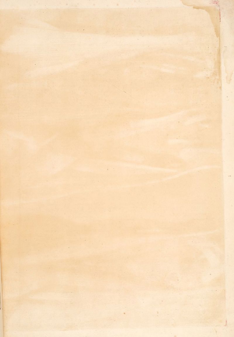 à YA v ER ah es RTE Re D s À AT TECRS pi AA je » 5 ju” : A ANT L NT a DFE CHENE EEE * Te ro D LT s SC ONT 2 ® x “ per nf 1 ete | à ».