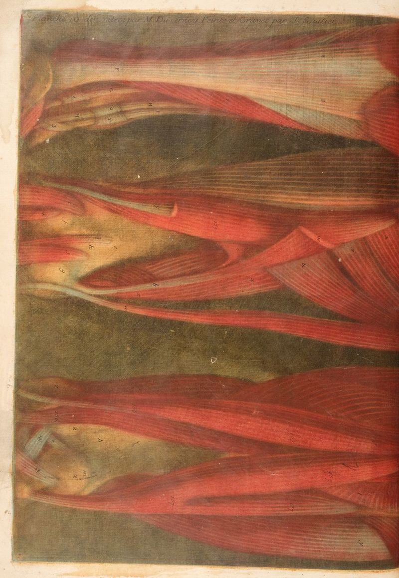 0 sé SRE en Li SAR FPE es BE NNAaE RATES OP PES RUE ER / RSR Po Ce Pet ps ve CIE EA ST. ui à Et PES RS exc ON NE a RES UT ” her 44