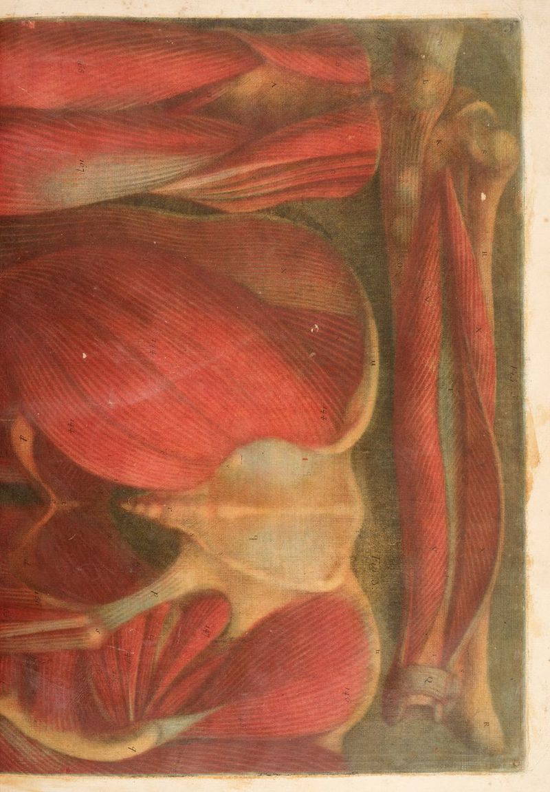 xt L Ke: Rae à TER REST PT