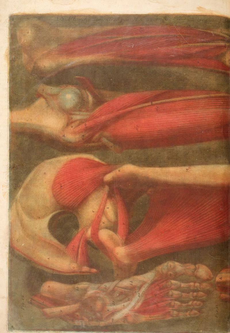 LEURK Hans in “ ù sem DATE re ss ee z EURE ARE ; PRE j HET QE ? La OA A TAS 53 Er GE b 3 à Z re De 2 Ÿ A PT Ris pi 2 5 Fe Rae LS ADS FPS D HA su