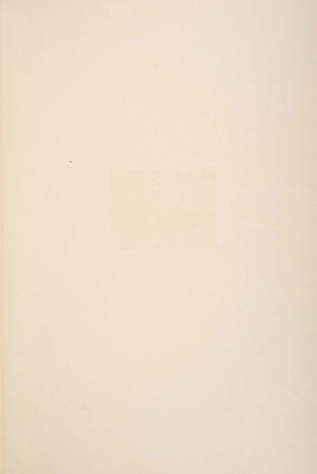digitised image 3