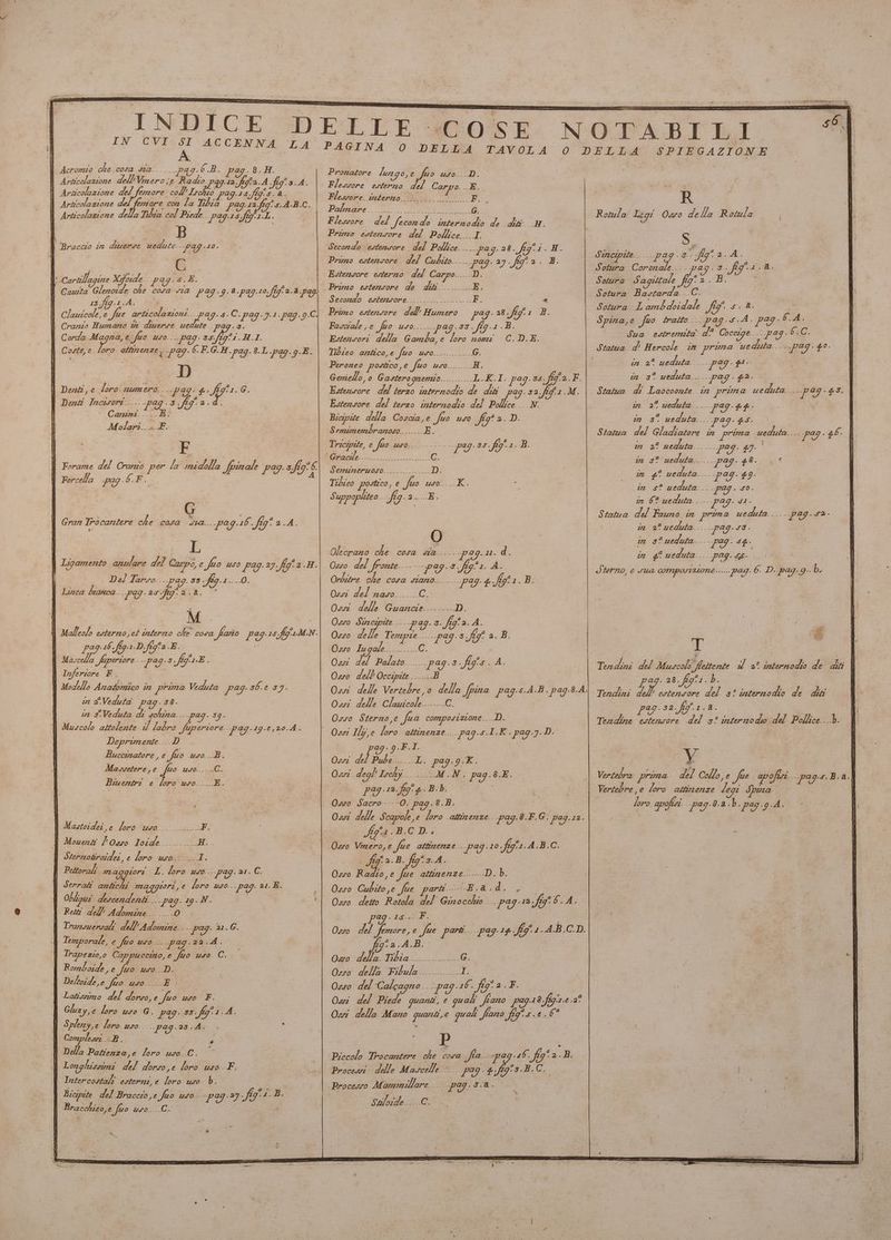 —et= === rese r=S Pi d spe rigo o i Ripe {.. INDICE DELTE 400% bi. - SR A AGINA 0 DELLA TAVOLA 0 DELLA SPIEGAZIONE su | Acromtio che cosa sa. ana Pa . 6.,B. Po 8.,H. Pronatore lugo, e fio uvo.--D, Articolazione dell'Vimero je Rapa Ae d Îgs A. Elemire illona. del Carpo _E I Articolazione despre coll Ischio P9G:18]i9-3. a Mesia idro © e. L, 4 Articolazione da magre con la Tibia P9g:12; 6g 5 A.B.C DE 7 R Articolazione della Tibia col Piede. P9Y15 Se ds | Rotula Legi Osso della Rotula i Flessore del fecondo internodio de hi. HB. Primo estensore del Pollice I. | Bracco 11 diverse sedute -- VG 40, Secondo evtervor del Pollice... .28. fig°1. H. H D, J Lo 29 pi | dA Hd / Simepite pa va figa. A. | Primo estenvore del Cubito..... pag. 27, ff 2, B. rai 1 Sotura Coronale .. -- ag.g,fig:1.à. Ì, ill A E Esterzsore esterno del Carpo.....D. mal 6° -B i ji Car agine fo e-pag.s.E. | n E Sotura Sagitta e fig. 2. DB. I Cawita Glenoide che cosa cia P99:9.a.pag.10. fig 2a pag. Primo estensore ae pe, Sea Ba tordo: ©. | 13.fi Piace Secondo estervore............F. x : LB ; | Clauscole Co ticolazioni C c| Primo estensore del Humero ag, 28 ff AES; Sotura Lambdoidole fg pe È Claurcote, e ue di = A TG.S- PRIA POI: o i Fa) sd Spina,e fuo tratto... pag.s.A. pag 6.A, | Crarzo Humano tt diuernse vedute p29.8. | Fascrale, e fo Medi Le .pag.:85 .ffg.1 cdi I O a E, alia | Pea 9°, ) ® Goorge: ados, Ù Corda agro, e. fuo cei nI Eytensori della Gamba, e loro mon C.D.E. Sua 2.1 i Wa 4a \ Coste, e ra affimenze pag. 6. F. G.H pag. 8.L.pag.9-E. Tibieo antico,e mo Po ROONE i, Statua di Hercote 1% E ad Se I (A P; D | | Peroneo postico e fio 7 IMPONE H, in 2° ueduta Ps ad | Le di | Geriello, 0 Gasterognemio .... L.K.I. pag.ss. fifa. F. in 3° ueduta Pg: By | Dent, e Loro mumero. Pag: +. KI: G. Estenvore del terzo internodio de dik ag.s2,.fif.1 «M. | Statua d Laocoonte in pruona ueduta. ...pag- 43. | Dent Incwsore gra? È fg Lat Estensore del terzo internodio del ville E A in 2° ueduta VIZAZZE CETRA. | ! Cana: -l-c- dui | 0: 8, DE uta . pag. g$- Bicipite della Coscia,e fuo uso fig° 2. D. M olari.. » «F, Ss ie dra FRS E Ss tatua del Gladiatore 1 prima veduta de ge] - 4.6- | F Gar e fio °° SACRA - pag.3s. figa. B. in 2° neduta PII- 47- | | , Li ì Mw nie) TURE, POE: di #4 pieda:: posi #0 og A Forame del Craro per la mi della Jpinale VLZZ s.fig' 6 1] TSO e ABIBRINENOO A Forcella pag. 6. P. Tibieo posto, e yZ 400: .. RK Suppophteo.. fig. bo | Gran Trocantere che cosa sa. pag.26. fig? 2A. | Ù I L Olecrano che cosa sia... pag. Hd: i Lipamento anulare del Carpo, e fio USO Pag. 27.fig:2.H .| Osso del fronte. - pag.8 VZA 9 È Statua del Ferita pruna ueduta he ae pag.s2- m&amp; ueduta PY- SE Jterno, e SUA comp OSURLONE ..... pag. 6. D..pag. 9. b. | Del Tarso... 29. 35 ffg1.--0. Orbitre che cosa siano... VIA 4.fig a. i Linca bianca... pag. 20) DA, de | M Ossi delle Guancie...-... D. | TE Osso Sincivite... pa .s. fi ‘2.A. | Malleolo esterno et interno che cova | fiario p99: 35 if MN | Osso Ea umili 00 s.figf 2. B, È | Ada ag Sa Sa, I Osro Iagalk\...C. SI, T | | agi af LAS A ag.s.figir.E. | Ossi del Palato... rd ag.3. fig SA Vela; DI Muscolo fettente il 2° internodio de di I Inferiore F. du Va dei B hi i I sso dell'Occipite.. a ET | } tia »- Ta . ; | Modello Anatomico in pryna Veduta VAZZ 36. e SY. Oi dl Vertebre, d della fpina pag.s.4.B. pag.8.A. tendini dll Peer RETE) bo ay in E Veduta VAZZELE Ossi delle Clanionia: i G: | ea RA E; date pa9g-32,fif.1-2- È o gr. di rh N A “ar Osso Sterno,e fra composizione..D. Tendine estensore del 3° internodo del Pollice. b. È Muscolo attolente avro fuperiore pag.19-e, 20.4. Ossi Ilj, e loro attinenze.. pa9g.sA.K,pa9.7. D. . FAURE Deprimente -. D ag. 9,F,I | pe e fto pasa Ossi de Pube.._L. pa9g.9.K, Vv | ca gt alga. Ossi deg 'Ischyj M.N, pa9.8.E. ! Vertebra prima del Collo, e fue apofisi. pags. B. a, liriag lie Pa ilo Set | | pag 12. figg Bb. | Vertebre, e loro attinenze legi Spa. Li | 3 n Osso Sacro----0. pa9g,8.8, loro qpofisi.. pag.8.a.b. pag.9.A, Ossi delle Scapole, e loro altinenze . pag.8.F.G, pag.12. IA: Mastoidei, e loro 7,” Sca ere figa ,B.,C De J Mouenti l'osso Ioide.- <BR. Osso Vinero, € (244 attinenze. pag.10.fig:1.A.B.C. Ì Stermotiroidei, e loro uso. I. É f2.B. fig°3. A Pettorali mag ori L. loro uso ---pag.21, C. Osso Radio, e foc attinenze..--- Db; i Serrali antichi maggiori, € loro 250. pag. 21. E. .| Osso Cubito e free parti.--E A î Obligni descendenti p9 N ° Ria FE A NOI NAS Osso detto Rotola del Ginocchio... a 12, fig” A. Resti dell Adomine. 0 PI | | 29. 3 2-0 SARE a | Transuersali dell'Adomine -- pag. 21. G. | | Dojo del femore, e fue porti. pagg. fig.1.AB.C.D. di Temporale, e fto uso... Pag. 22,À, 292 ,A,B. i | | Y i | Trapezio,o Cappuccino, e fico usa C, PARERE SI EI > rada “iQ Romboide,e fao uso ..D, A Da e: Ville <T I I Osso del Calcagno. -pag.a6. fig 2 CE: Ossi del Piede quanti, e qu al fano VEZZALI figia.e ta? | / Gluzy,e loro uso G, peg. s3, fig? A; | Ossi. della Maro quanti e quali fiano fig. i 0° Ì Spleny,e loro uso. pag.a3.A: % ‘ a i \ 00 omplessi EB, vi x P { Il 4 Longhissini del dorso ve loro uso. F. | Irntercostah esterni e loro uso b, È | Bicpite del Braccio, e fo USO. Pag. 2] fig. B. | Bracchieo,e fo sing Ge i Piccolo Trocantere che cova ffa-pa 46, fra. B Procewi delle Mascelle:.. p99: 4 ga Ca Processo Mammillare.... pag. SM. Stloide (deri Sa | Il | 2a sal