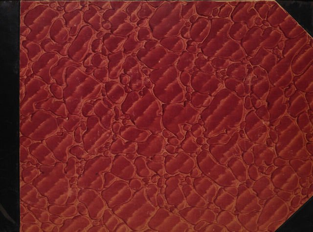 digitised image 1