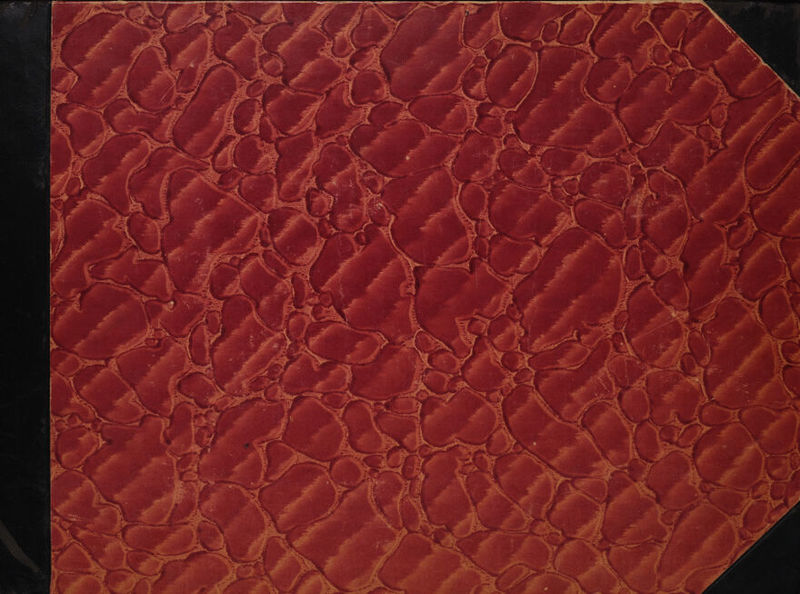 No text description is available for this image