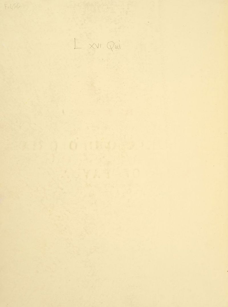 ted ’ ® bs r on ‘ “ ee at Gomes iw a) ll ae + rae” * < ‘ a 4 a gp hea aS Bey ee aa: a fSrxgel mh : oe Oe a met: ine