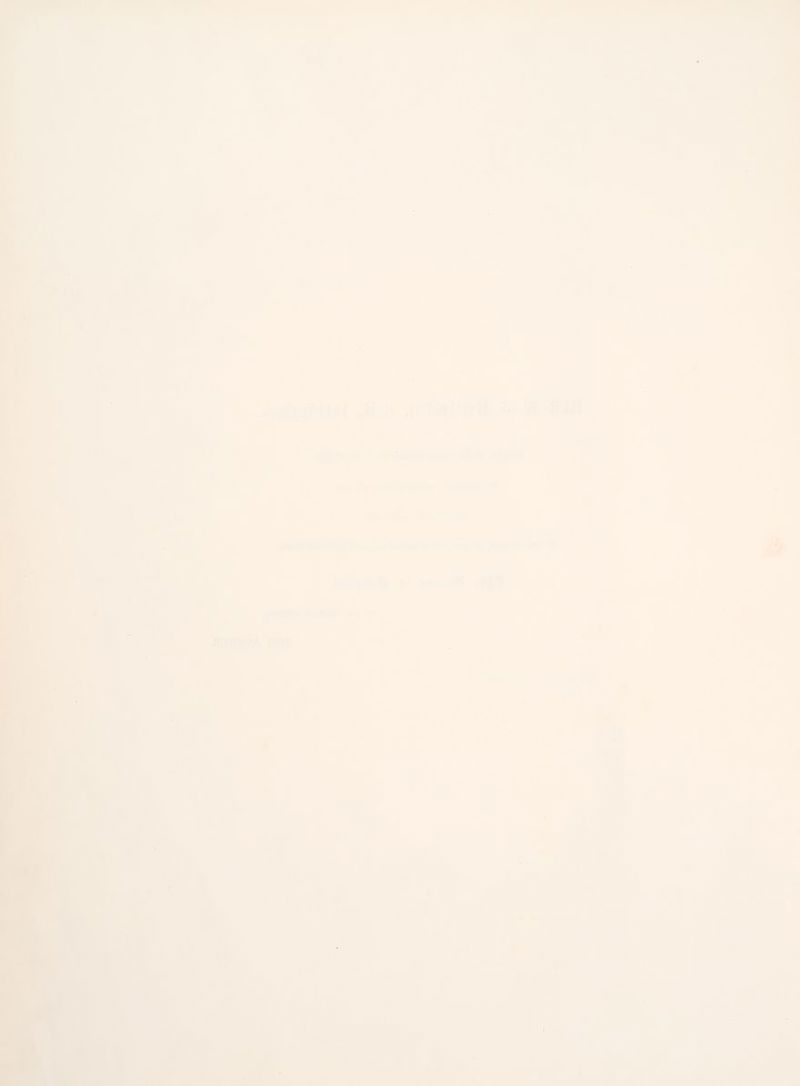 AOMranT |