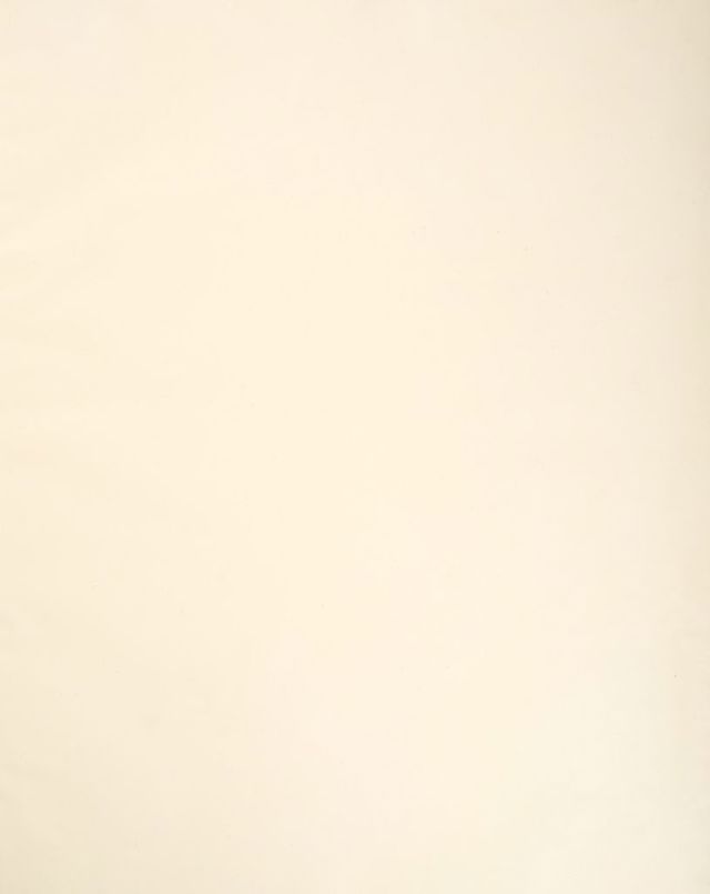 digitised image 3