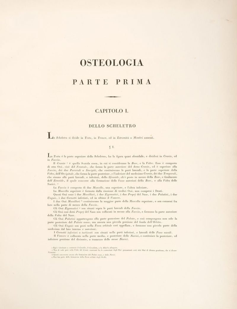OSTEOLOGIA PARTE PRIMA CAPITOLO I. DELLO SCHELETRO $ LL, Scheletro si divide in Testa, in Tronco, ed in Estremità o Membri annessi. SI. JE; Testa è la parte superiore dello Scheletro, ha la figura quasi sferoidale, e dividesi in Cranio, ed invkiaeoio. Il Cranio * è quella Scatola ossea, in cui si considerano la Base, e la Volta. Esso è composto di otto Ossi, cioè del Frontale, che forma la parte anteriore del detto Cranio, ed è superiore alla Faccia, dei due Parietali o Sincipiti, che costituiscono le parti laterali, e la parte superiore della Volta, dell’Occipitale, che forma la parte posteriore, e l’inferiore del medesimo Cranio, dei due Temporali, che stanno alle parti laterali, e inferiori, dello Sfenoide, ch'è posto in mezzo della Base, e finalmente dell’ Etmoide, il quale concorre alla formazione delle Fosse anteriori della Base, e alla Volta delle Nana La Faccia è composta di due Mascelle, una superiore, e l’altra inferiore. La Mascella superiore è formata dalla riunione di tredici Ossi, non compresi i Denti. Questi Ossi sono i due Massillari, i due Zigomatici, i due Proprj del Naso, i due Palatini, i due Unguis, i due Cornetti inferiori, ed in ultimo il Vomere. I due Ossi Massillari 3 costituiscono la maggior parte della Mascella superiore, e son connessi fra loro nella parte di mezzo della Faccia. Gli Ossi Zigomatici 4 son situati sopra le parti laterali della Faccia. Gli Ossi così detti Proprj del Naso son collocati in mezzo alla Faccia, e formano la parte anteriore della Volta del Naso. Gli Ossi Palatini appartengono alla parte posteriore del Palato, e così compongono non solo la parte posteriore del Palato osseo, ma ancora una piccola porzione del fondo dell’ Orbita . Gli Ossi Unguis son posti nella Fossa orbitale così appellata, e formano una piccola parte della medesima dal lato interno e anteriore. I Cornetti inferiori o turbinati son situati nelle parti inferiori, e laterali delle Fosse nasali. Il Vomere è collocato nella parte media, e posteriore delle MNarici, e costituisce la posteriore, ed inferiore porzione del divisorio, o tramezzo delle stesse /Varici. 1 Egli è destinato a contenere il Cervello, il Cervelletto, e la Midolla allungata. 2 Non di rado però nella Volta del Cranio osservansi fra le connessioni degli Ossi prenominati certi altri Ossi di diversa grandezza, che si dicono Vormiani . 4 Essi fan parte della formazione della Fossa orditale degli Occhi. dd
