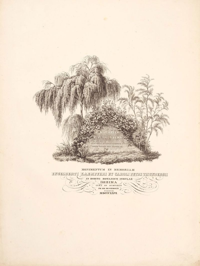 1A M MONIMENTUM IN MEMOR MELO I, lo) 1 E PE x a bi O O INSULA CA C ZIMA MDCCCXXVI K PH.FR _ DE SIEROLD ) Ti O qn para IN HORTO BOTANI URA ET WU _ € CO y RITI RAISI INIGIENAÌ
