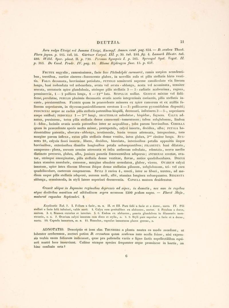 Joro vulgo Utsigi vel Jamma Utsigi, Kaempf. Amoen. exot. pag. 854. — D. scabra Thunb. Flora japon. p. 185. tab. 24. Girtner Carpol. III. p. 30. tab. 184. fig. 4. Lamark HMustr. tab. 480. IVilld. Spec. plant. II. p. 730. . Persoon Synopsis I. p. 505. Sprengel Syst. Veget. Il. p. 383. De Cand. Prodr. IV. pag. 16. Blume Bijdragen fasc. 13. p. 657. FRUTEX orgyalis, ramosissimus, facie fere Philadelphi coronarit, ramis saepius scandenti- bus, teretibus, cortice cinereo -fuscescente glabro, in novellis rufo et pilis stellatis hirto vesti- tis. FoLiA decussata, brevissime petiolata, PETIOLO semitereti superne canaliculato vix fineam longo, basi rodundata vel subcordata, ovata vel ovato - oblonga, acuta vel acuminata, tenuiter. serrata, serraturis apice glandulosis, utrinque pilis stellatis 3 — 5 - radiatis scaberrima, rugosa, penninervia, 1 — 2 pollices longa, 8 — 12” lata. STIPuULAE nullae. GEMMAE mixtae vel fohi- ferae, perulatae, PERULIS plurimis decussatis ovatis acutis integerrimis coriaceis, pilis stellatis in- canis, persistentibus. FLORES quam in praecedente minores ex apice ramorum et ex axillis fo- liorum superiorum, in thyrsum paniculiformem erectum 2 — 3- pollicarem pyramidalem dispositi; PEDUNCULI aeque ac rachis pilis stellatis patentibus hispidi, decussati, inferiores 3 —5-, superiores sacpe uniflorij; PEDICELLI 1 — 2’ longi, BRACTEOLAE subulatae, hispidae, fugaces. CALYx ad- natus, persistens, totus pilis stellatis dense canescenti - tomentosus; tubus subglobosus, limbus 5 - fidus, laciniis ovatis acutis patentibus inter se aequalibus, tubo parum brevioribus. COROLLA quam in praecedente specie multo minor, pentapetala, calyci inserta, decidua, alba; PETALA ho- rizontaliter patentia, obovato - oblonga, acutiuscula, basin versus attenuata, integerrima, toto margine parum inflexa, extus pilis stellatis dense vestita, intus glabra, 3%‘ circiter longa. STA- MINA 10, calycis fauci inserta, libera, decidua, biseriata, interioribus - petalis oppositis iisque brevioribus, exterioribus dimidio longioribus petala subaequantibus; FILAMENTA basi dilatata, compresso - plana, sursum sensim attenuata et infra antheram subulata, edentata, nervo medio distincto percursa, glabra, alba, juniora punctis fuscescentibus adspersa; ANTHERAE erectae, ova- tae, utrinque emarginatae, pilis stellatis dense vestitae, flavae, antice quadriloculares. Discus intra stamina annularis, carnosus, margine obsolete crenulatus, glaber, virens. OvaRIUM calyci innatum, apice intra discum liberum ibique dense stellatim pilosam, subglobosum, tri- vel raro quadriloculare, caeterum congenerum. STYLI 3 rarius 4, erecti, inter se liberi, teretes, ad me- dium usque pilis stellatis adspersi, sursum nudi, albi, stamina longiora subaequantes. STIGMATA oblonga, crassiuscula, in styli latere superiori decurrentia. CAPrsuLa matura desideratur. Crescit ubique in Japoniae regionibus depressis ad sepes, în dumetis, nec non in rupibus atque declivibus montium ad altitudinem supra oceanum 1200 pedum usque. — Floret Majo, maturat capsulas Septembri. Kxplicatio Tab. 7. I. Folium a facie, m. n. II. et III, Pars folii a facie et a dorso, aucta. IV. Pili stellati e facie folii inferiori, valde aucti. 1. Calyx cum genitalibus ex alabastro, auctus. 2. Petalum a dorso, auctum. 3. 4. Stamen exterius et interius. 5. 6. Eadem ex alabastro, puncta glandulosa in filamentis mon- strantia, o. a. 7. Ovarium calyci innatum cum disco et stylis, a. 8. 9. Styli pars superior a facie et a dorso, aucta. 10. Capsula immatura, m. n. 11. Ramulus, capsulas immaturas plures gerens, a. ADNOTATIO. Descriptio et icon clar. THUNBERG a planta nostra eo modo recedunt, ut lubenter crederemus, auctori potius 2. crezatam quam scabram ante oculis fuisse, nisi expres- sis verbis usum foliorum indicasset, quae pro poliendis variis e ligno factis supellectilibus equi- seti nostri loco inserviunt. Colitur utraque species frequenter atque promiscue in hortis, an hinc confusio orta?