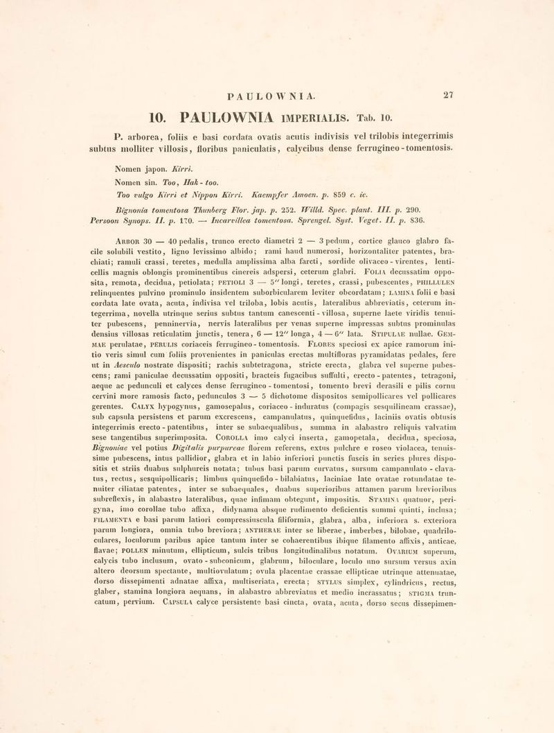 10. PAULOWNIA IMPERIALIS. Tab. 10. P. arborea, foliis e basi cordata ovatis acutis indivisis vel trilobis integerrimis subtus molliter villosis, floribus paniculatis, calycibus dense ferrugineo - tomentosis. Nomen japon. Mirre. Nomen sin. Too, Hak - too. Too vulgo Kirri et Nippon Kirri. Kaempfer Amoen. p. 859 c. ic. Bignonia tomentosa Thunberg Flor. jap. p. 252. Willd. Spec. plant. ILI. p. 290. Persoon Synops. II. p. 170. — Incarvillea tomentosa. Sprengel. Syst. Veget. II. p. 836. ARBOR 30 — 40 pedalis, trunco erecto diametri 2 — 3 pedum, cortice glanuco glabro fa- cile solubili vestito, ligno levissimo albido; rami haud numerosi, horizontaliter patentes, bra- chiati; ramuli crassi, teretes, medulla amplissima alba farcti, sordide olivaceo - virentes, lenti- cellis magnis oblongis prominentibus cinereis adspersi, ceterum glabri. FOLIA decussatim oppo- sita, remota, decidua, petiolata; PETIOLI 3 — 5‘ longi, teretes, crassi, pubescentes, PHILLULEN relinquentes pulvino prominulo insidentem suborbicularem leviter obcordatam; LAMINA folii e basi cordata late ovata, acuta, indivisa vel triloba, lobis acutis, lateralibus abbreviatis, ceterum in- tegerrima, novella utrinque serius subtus tantum canescenti - villosa, superne laete viridis tenui- ter pubescens, penninervia, nervis lateralibus per venas superne impressas subtus prominulas densius villosas reticulatim junctis, tenera, 6 — 12” longa, 4— 6” lata. STIPULAE nullae. GEM- MAE perulatae, PERULIS coriaceis ferrugineo - tomentosis. FLORES speciosi ex apice ramorum ini- tio veris simul cum foliis provenientes in paniculas erectas multifloras pyramidatas pedales, fere ut in Aesculo nostrate dispositi; rachis subtetragona, stricte erecta, glabra vel superne pubes- cens; rami paniculae decussatim oppositi, bracteis fugacibus suffalti, erecto - patentes, tetragoni, aeque ac pedunculi et calyces dense ferrugineo - tomentosi, tomento brevi derasili e pilis cornu cervini more ramosis facto, pedunculos 3 — 5 dichotome dispositos semipollicares vel pollicares gerentes. CaALyx hypogynus, gamosepalus, coriaceo - induratus (compagis sesquilineam crassae), sub capsula persistens et parum excrescens, campanulatus, quinquefidus, laciniis ovatis obtusis integerrimis erecto - patentibus, inter se subaequalibus, summa in alabastro reliquis valvatim sese tangentibus superimposita. COROLLA imo calyci inserta, gamopetala, decidua, speciosa, Bignoniae vel potius Digitalis purpureae florem referens, extus pulchre e roseo violacea, tenuis- sime pubescens, intus pallidior, glabra et in labio inferiori punctis fuscis in series plures dispo- sitis et striis duabus sulphureis notata; tubus basi parum curvatus, sursum campanulato - clava- tus, rectus, sesquipollicaris; limbus quinquefido - bilabiatus, laciniae late ovatae rotundatae te- nuiter ciliatae patentes, inter se subaequales, duabus superioribus attamen parum brevioribus subreflexis, in alabastro lateralibus, quae infimam obtegunt, impositis. STAMINA quatuor, peri- gyna, imo corollae tubo affixa, didynama absque rudimento deficientis summi quinti, inclusa; FILAMENTA e basi parum latiori compressiuscula filiformia, glabra, alba, inferiora s. exteriora parum longiora, omnia tubo breviora; ANTHERAE inter se liberae, imberbes, bilobae, quadrilo- culares, loculorum paribus apice tantum inter se cohaerentibus ibique filamento affixis, anticae, flavae; POLLEN minutum, ellipticum, sulcis tribus longitudinalibus notatum. OvARIUM superum, calycis tubo inclusum, ovato - subconicum, glabrum, biloculare, loculo uno sursum versus axin altero deorsum spectante, multiovulatum; ovula placentae crassae ellipticae utrinque attenuatae, dorso dissepimenti adnatae affira, multiseriata, erecta; sTYLUs simplex, cylindricus, rectus, glaber, stamina longiora aequans, in alabastro abbreviatus et medio incrassatus; sTIGMA trun- catum, pervium. CAPSULA calyce persistente basi cincta, ovata, acuta, dorso secus dissepimen-