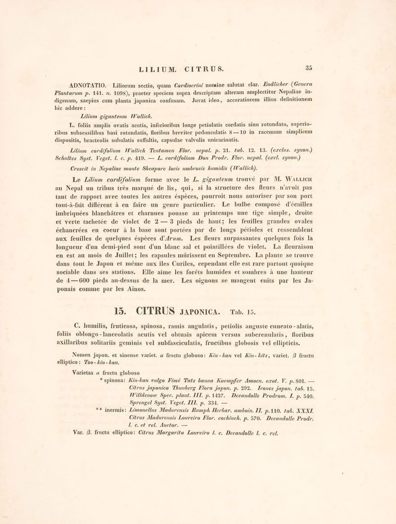 LILIUM. CITRUS. 39 ADNOTATIO. Liliorum sectio, quam Caerdiocrini nomine salutat clar. Endlicher (Genera Plantarum p. 141. n. 1098), praeter speciem supra descriptam alteram amplectitur Nepaliae in- digenam, saepius cum planta japonica confusam. Juvat ideo, accuratiorem illius definitionem hic addere: I Lilium giganteum W'allich. L. foliis amplis ovatis acutis, inferioribus longe petiolatis cordatis sinu rotundato, superio- ribus subsessilibus basi rotundatis, floribus breviter pedunculatis 8—10 in racemum simplicem dispositis, bracteolis subulatis suffaltis, capsulae valvulis unicarinatis. Lilium cordifolium Wallich Tentamen Flor. nepal. p. 21. tab. 12. 13. (ewclus. synon.) Schultes Syst. Veget. l. c. p. 419. — L. cordifoliun Don Prodr. Flor. nepal. (excl. synon.) Crescit in Nepaliae monte Sheapore locis umbrosis humidis (IWallich). Le Lilium cordifolium forme avec le L. giganteum trouvé par M. WaLLIcH au Nepal un tribus très marqué de lis, qui, si la structure des fleurs n’avoit pas tant de rapport avec toutes les autres éspèces, pourroit nous autoriser par son port tout-à-fait différent è en faire un genre particulier. Le bulbe composé d’écailles imbriquées blanchàtres et. charnues pousse au printemps une tige simple, droite et verte tachetée de violet de 2 — 3 pieds de haut; les feuilles grandes ovales échancrées en coeur à la base sont portées par de longs pétioles et ressemblent aux feuilles de quelques éspèces d’Aruz. Les fleurs surpassantes quelques fois la longueur d'un demi-pied sont d’un blanc sal et pointillées de violet. La fleuraison en est au mois de Juillet; les capsules murissent en Septembre. La plante se trouve dans tout le Japon et méme aux îles Curiles, cependant elle est rare partout quoique sociable dans ses stations. Elle aime les foréts humides et sombres à une hauteur de 4— 600 pieds au-dessus de la mer. Les oignons se mangent cuits par les Ja- ponais comme par les Ainos. 15. CITRUS JAPONICA. Tab. 15. C. humilis, fruticosa, spinosa, ramis angulatis, petiolis anguste cuneato - alatis, foliis oblongo-lanceolatis acutis vel obtusis apicem versus suberenulatis, floribus axillaribus solitariis geminis vel subfasciculatis, fructibus globosis vel ellipticis. Nomen japon. et sinense variet. a fructu globoso: Zi - Zar vel Kin- its, variet, B fructu. elliptico: Too-kin-kan. Varietas a fructu globoso * spinosa: An-kan vulgo Fimé Tats banna Kaempfer Amoen. exot. V. p.801. — Citrus japonica Thunberg Flora japon. p. 292. Icones japon. tab. 15. Willdenow Spec. plant. III. p.1427. Decandolle Prodrom. I, p. 540. Sprengel Syst. Veget. III. p. 334. — ** inermis: Limonellus Madurensis Rumph Herbar. amboin. II. p.110. tab. XXXI. Citrus Madurensis Loureiro Flor. cochinch. p. 570. Decandolle Prodr. I. c. et rel. Auctor. — Var. #. fructu elliptico: Citrus Margarita Loureîro I c. Decandolle ll. c. rel.
