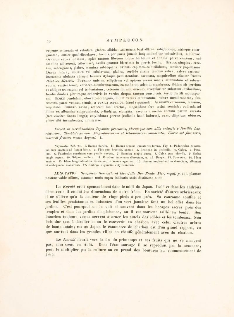56 SYMPLOCOS. repente attenuata et subulata, glabra, albida; ANTHERAE basi affixae, subglobosae, utrinque emar- ginatae, antice quadriloculares, loculis per paria junctis longitudinaliter univalvibus, sulfureae. OvarIuM calyci innatum, apice tantum liberom ibique barbatum et annulo parvo cinctum, cui. stamina adhaerent, triloculare, ovulis quatuor biseriatis in quovis loculo. STYLus simplex, erec- tus, subtrigonus, glaber, stamina subaequans ; STIGMA capitato - subtrilobum, tenniter papillosum. Drupa infera, elliptica vel subclavata, glabra, sordide virens tandem rubra, calyce carnoso- incrassato obducta ejusque laciniis styloque persistentibus coronata, magnitudine circiter fructus Daphnes Mezerei. PUTAMEN unicum, ellipticam vel apicem versus magis attenuatum et subcur- vatum, vertice tenue, coriaceo-membranaceum, eo modo ut, ademta membrana, ibidem sit pervium et oblique truncatum vel tridentatum ; ceterum durum, osseum, irregulariter sulcatum, triloculare, loculis duobus pleruamque arbortivis in vertice drupae tantum conspicuis, tertio fertili monosper- mo. SEMEN pendulum, obovato-oblongum, hilum versus attenuatum; TESTA membranacea, fus- cescens, parce venosa, tenuis, a TUNICA INTERIORI haud separanda. ALBUMEN carnosum, crassum, aequabile. EmBrro axilis, respectu hili erectus, longitudine fere totius seminis; radicula ad hilum ex albumine subprominula, cylindrica, elongata, saepins a medio sursum parum curvata (tres circiter lineas longa); cotyledones parvae (radicula haud latiores), ovato-ellipticae, obtusae, plane sibi incumbentes, uninerviae. Crescit in meridionalibus Japoniae provinciis, plerumque cum aliis arbustis e familiis Lau- rinearum, Terebintacearum, Magnoliacearum et Rhamnearum consociata. Floret sub fine veris, maturat fructus mense Augusti. db. Explicatio Tab. 24. I. Ramus florifer. II. Ramus fructus immaturos ferens. Fig. 1. Pedunculus commu- nis cum bracteis ad florum basin. 2. Flos cum bracteis, auctus. 3. Bracteae in pedicello. 4. Calyx. 5. Peta- lum. 6. Fasciculus staminum cum petalis duobus. 7. Stamina magis aucta. S. Calyx cum pistyllo. 9. Stylus magis auctus. 10. Stigma, valde a. 11. Ovarium transverse dissectum, a. 12. Drupa. 13. Pyrenum. 14. Idem auctum. 15. Idem longitudinaliter dissectum, ut semen appareat. 16. Semen longitudinaliter dissectum, albumen et embryonem monstrans. 17. Embryo disjunctis cotyledonibus. ADNOTATIO. Symplocos Sumuntia et theacfolia Don Prodr, Flor. nepal. p. 145. plantae nostrae valde affines, attamen notis supra indicatis satis distinctae sunt. Le Auroki croit spontanément dans le midi du Japon. Isolé et dans les endroits découverts il atteint les dimensions de notre fréne. En société d’autres arbrisseaux il ne séleve quà la hauteur de vingt pieds è peu près. Sa couronne touffue et ses feuilles persistantes et luisantes d’un vert jaunàtre font un bel effet dans les jardins. C’est pourquoi on le voit si souvent dans les bocages sacrés près des temples et dans les Jardins de plaisance, où il est souvent taillé en boule. Ses branches toujours vertes servent a orner les autels des idòles et les tombeaux. Son bois dur sert à chauffer et on le convertit. en charbon avec celui d’autres arbres de haute futaie; car au Japon Ie commerce du charbon est d’un grand rapport, vu que sur-tout dans les grandes villes on chauffe généralement avec du charbon. Le Auroki fleurit vers la fin du printemps et ses fruits qui ne se mangent pas, murissent en Aodt. Dans l'état sauvage il se reproduit par la semence, pour le multiplier par la culture on en prend des boutures au commencement de Pete.