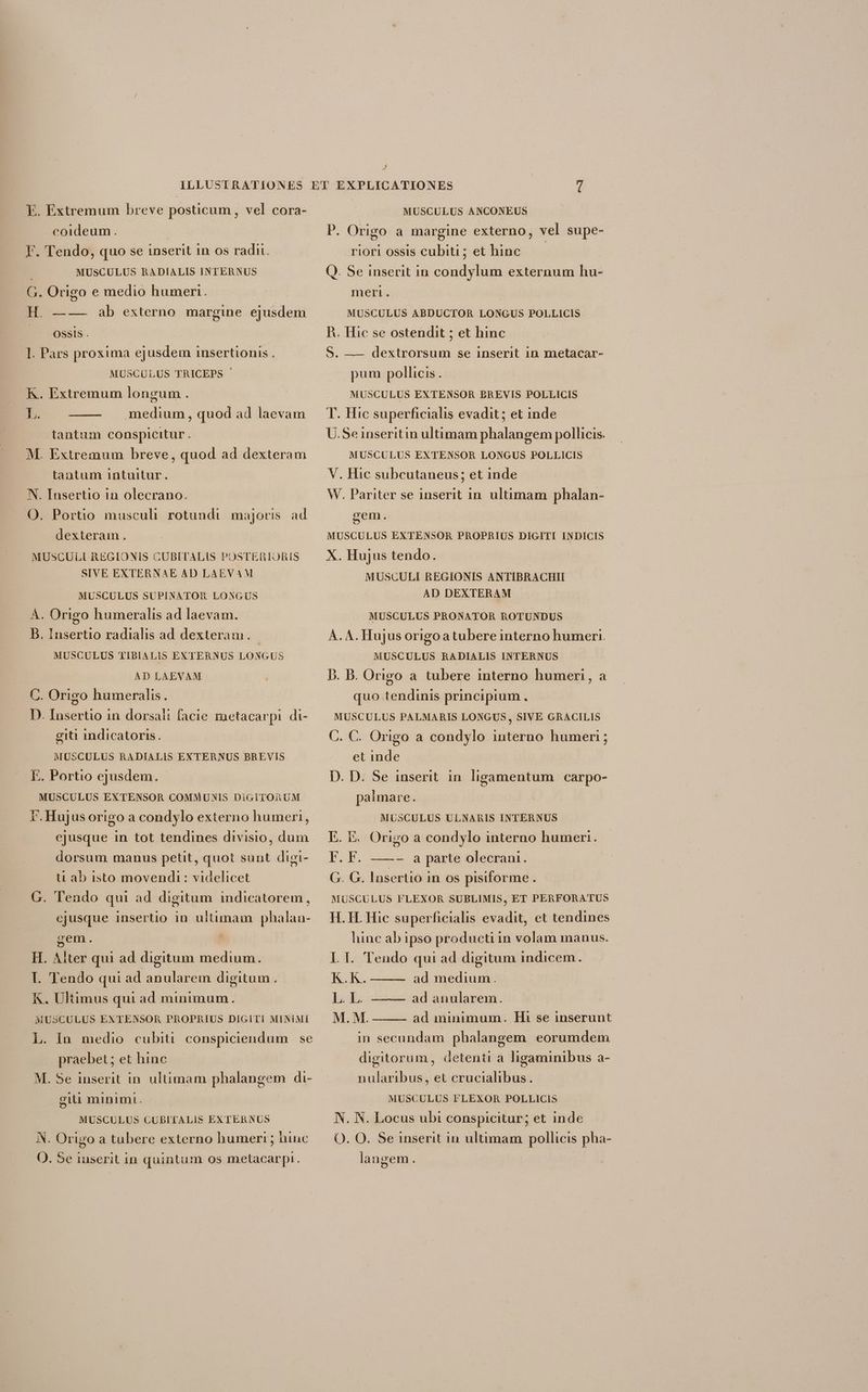 A E. Extremum breve posticum, vel cora- coideum . | F. Tendo, quo se inserit in os radi. | MUSCULUS RADIALIS INTERNUS G. Origo e medio humen. H. ——- ab externo margine ejusdem E ossis. * ]. Pars proxima ejusdem insertionis . MUSCULUS TRICEPS K. Extremum longum : I medium , quod ad laevam tantum conspicitur. M. Extremum breve, quod ad dexteram tantum intuitur. N. Insertio in olecrano. O. Portio musculi rotundi. majoris. ad dexteram. MUSCULL REGIONIS CUBITALIS POSTERIORIS SIVE EXTERNAE AD LAEVAM MUSCULUS SUPINATOR LONGUS À. Origo humeralis ad laevam. B. Insertio radialis ad dexteram. MUSCULUS TIBIALIS EXTERNUS LONGUS AD LAEVAM C. Origo humeralis. D. Insertio in dorsali facie metacarpi di- giti indicatoris. MUSCULUS RADIALIS EXTERNUS BREVIS E. Portio ejusdem. - MUSCULUS EXTENSOR COMMUNIS DiGITOAUM i. Hujusorigo a condylo externo humeri, ejusque in tot tendines divisio, dum dorsum manus petit, quot sunt digi- tu ab isto movendi: videlicet G. Tendo qui ad digitum indicatorem, ejusque insertio in uitimam phalan- gem. E H. Alter qui ad digitum medium. I. Tendo qui ad anularem digitum . K. Ultimus qui ad minimum. | MUSCULUS EXTENSOR PROPRIUS DIGITI MINIMI L. In medio cubiti. conspiciendum se praebet ; et hinc M. Se inserit in. ultimam phalangem di- eiii minimi. | MUSCULUS CUBITALIS EXTERNUS AN. Origo a tubere externo humeri ; hinc O. Se iuserit in quintum os metacarpi. MUSCULUS ANCONEUS P. Origo a margine externo, vel supe- riori ossis cubiti; et hinc Q. Se inserit in condylum externum hu- meri. MUSCULUS ABDUCTOR LONGUS POLLICIS P. Hic se ostendit ; et hinc S. — dextrorsum se inserit in metacar- pum pollicis . MUSCULUS EXTENSOR BREVIS POLLICIS T. Hic superficialis evadit ; et inde U.Seinseritin ultimam phalangem pollicis. MUSCULUS EXTENSOR LONGUS POLLICIS V. Hic subcutaneus; et inde W. Pariter se inserit in. ultimam phalan- gem. MUSCULUS EXTENSOR PROPRIUS DIGITI INDICIS X. Hujus tendo. MUSCULI REGIONIS ANTIBRACHII AD DEXTERAM MUSCULUS PRONATOR ROTUNDUS A. A. Hujus origoatubere interno humeri. MUSCULUS RADIALIS INTERNUS D. B. Origo a tubere interno humeri, a quo tendinis principium . MUSCULUS PALMARIS LONGUS , SIVE GRACILIS C. C. Origo a condylo interno humeri ; et inde D. D. Se inserit. in. ligamentum. carpo- palmare. MUSCULUS ULNARIS INTERNUS E. E. Origo a condylo interno humeri. F. F. —- a parte olecrani. | G. G. Insertio in os pisiforme . MÜSCULUS FLEXOR SUBLIMIS, ET PERFORATUS H. TH. Hic superficialis evadit, et tendines hinc ab ipso producti in volam manus. I. I. Tendo qui ad digitum indicem. K.K.——— ad medium. lad M. M. in secundam phalangem eorumdem ad anularem. ad minimum. Hi se inserunt digitorum, detenti a ligaminibus a- nularibus, et crucialibus. MUSCULUS FLEXOR POLLICIS N. N. Locus ubi conspicitur; et inde O. O. Se inserit in ultimam pollicis pha- langem.