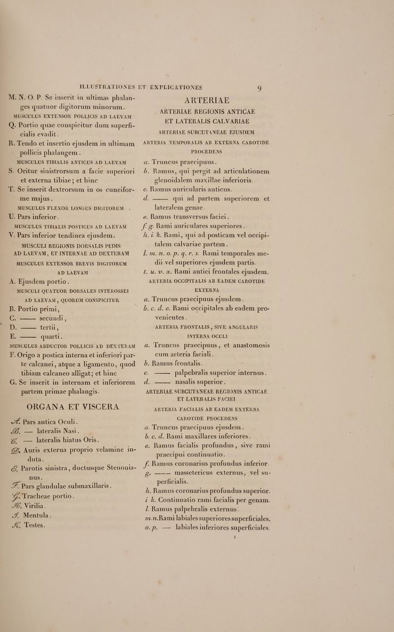 M. N. O. P. Se inserit in. ultimas phalan- ges quatuor digitorum minorum. MUSCULUS EXTENSOR POLLICIS AD LAEVAM Q. Portio quae conspicitur dum superfi- cialis evadit. R. Tendo et insertio ejusdem in ultimam pollicis phalangem. MUSCULUS TIBIALIS ANTICUS AD LAEVAM S. Oritur sinistrorsum a facie superiori et externa tibiae ; et hinc T. Se inserit dextrorsum in os cuneifor- me majus. MUSCULUS FLEXOR LONGUS DIGITORUM U. Pars inferior. MUSCULUS TIBIALIS POSTICUS AD LAEVAM V. Pars inferior tendinea ejusdem. MUSCULI REGIONIS DORSALIS PEDIS AD LAEVAM , ET INTERNAE AD DEXTERAM MUSCULUS EXTENSOR BREVIS DIGITORUM AD LAEVAM À. Ejusdem portio. MUSCULI QUATUOR DORSALES INTEROSSEI AD LAEVAM , QUORUM CONSPICITUR D. Portio primi, C. secundi, tertii, E. | quarti. MUSCULUS ABDUCTOR POLLICIS AD DEXTERAM F. Origo a postica interna et inferiori par- te calcanei, atque a ligamento, quod tibiam calcaneo alligat; et hinc G. Se inserit in. internam et inferiorem partem primae phalangis. ORGANA ET VISCERA —£. Pars antica Oculi. D, — lateralis Nast. 4 -—— lateralis hiatus Oris. 6. Auris externa proprio velamine in- duta. nus. | Zf. Pars glandulae submaxillaris. 2 Tracheae porto. 6, Virilia. .Z, Mentula. JA. Testes. ARTERIAE ARTERIAE REGIONIS ANTICAE ET LATERALIS CALVARIAE ARTERIAE SUBCUTANEAE EJUSDEM ARTERIA TEMPORALIS AB EXTERNA CAROTIDE PROCEDENS a. Truncus praecipuus. b. Ramus, qui pergit ad articulationem elenoidalem maxillae inferioris. c. hamus auricularis anticus. d. qui ad partem superiorem et lateralem genae. e. Ramus transversus faciei. f. g. Rami auriculares superiores. h. i. kh. Rami, qui ad posticam vel occipi- talem calvariae partem. ]. m. n. o. p. g. r. s. Rami temporales me- dii vel superiores ej usdem partis. L. u. v. x. Rami antici frontales ejusdem. ARTERIA OCCIPITALIS AB EADEM CAROTIDE EXTERNA à. Truncus praecipuus ejusdem. b. c. d. e. Rami occipitales ab eadem pro- venientes. 'ARTERIA FRONTALIS , SIVE ANGULARIS INTERNA OCULI | à. lruncus praecipuus, et anastomosis cum arteria facial. b. Ramus frontalis. C. palpebralis superior internus. d. nasalis superior. | ARTERIAE SUBCUTANEAE REGIONIS ANTICAE ET LATERALIS FACIEI ARTERIA FACIALIS AB £ADEM EXTERNA CAROTIDE PROCEDENS d. Truncus praecipuus ejusdem. b. c. d. Rami maxillares inferiores. e. hamus facialis profundus, sive rami praecipui continuatio. f. Ramus coronarius profundus inferior. 8. —-— massetericus externus, vel su- perficialis. h. Ramus coronarius profundus superior. 7 À. Continuatio rami facialis per genam. l. Ramus palpebralhis externus: m.n.Rami labiales superiores superficiales, o.p. — labiales inferiores superficiales. 3