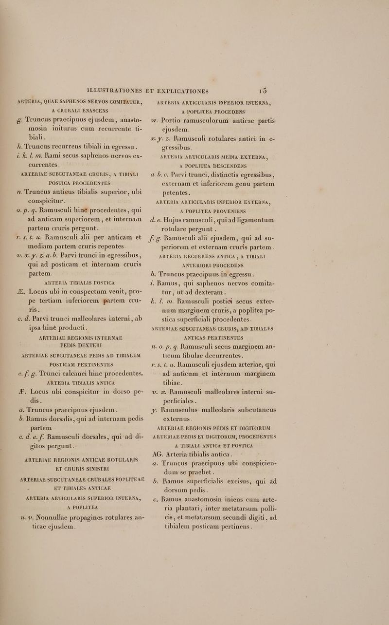 A CRURALI ENASCENS &amp;. Truncus praecipuus ej usdem , anasto- mosin initurus cum recurrente ti- biali. h. Truncus recurrens tibiali in egressu. j. k. l. m. Rami secus saphenos nervos ex- currentes. ARTERIAE SUBCUTANEAE CRURIS, A TIBIALI POSTICA PROCEDENTES 7. '[runcus antieus tibialis d cies ubi conspicitur. o. p. 4. Ramusculi hiné procedentes , qui ad anticam superiorem , et internam partem cruris pergunt. r. $. E. u. Ramusculi alii per anticam et mediam partem cruris repentes. v. 3. y. . a. b. Parvi trunci in egressibus, qui ad posticam et internam cruris partem. ARTERIA TIBIALIS POSTICA 4E, Locus ubi in conspectum venit, pro- pe tertiam inferiorem. partem cru- TIS. c. d. Parvi trunci malleolares interni, ab ipsa hine producti. ARTERIAE REGIONIS INTERNAE PEDIS DEXTERT ARTERIAE SUBCUTANEAE PEDIS AD TIBIALEM POSTICAM PERTINENTES e. f. g. Trünci calcanei hinc procedentes. ARTERIA TIBIALIS ANTICA |F. Locus ubi conspicitur in dorso pe- . dis. à. Truncus praecipuus ejusdem ; b. Ramus dorsalis, qui ad internam pedis partem c. d. e. f. Ramusculi dorsales, qui ad di- etos pergunt.: ARTERIAE REGIONIS ANTICAE ROTULARIS ET CRURIS SINISTRI ARTERIAE SUBCUTANEAE CRURALES POPLITEAE ET TIBIALES ANTICAE ARTERIA ARTICULARIS SUPERIOR INTERNA, | A POPLITEA u. v. Nonnullae propagines rotulares an- ucae ejusdem. 19 ARTERIA ARTICULARIS INFERIOR INTERNA, A POPLITEA PROCEDENS Ww. Portio ramusculoruni anticae partis ejusdem. €. y. z. Ramusculi rotulares antici in. e- gressibus. ARTERIA ARTICULARIS MEDIA EXTERNA, A POPLITEA DESCENDENS a. b. c. Parvi trunci, distinctis egressibus, externam et inferiorem genu partem petentes. ARTERIA ARTICULARIS INFERIOR EXTERNA, A POPLITEA PROVENIENS d. e. Hujus ramusculi, quiad ligamentum rotulare pergunt . fg Hh periorem et externam cruris partem . ARTERIA RECURRENS ANTICA , A TIBIALI ANTERIORI PROCEDENS h. 'Truncus praecipuus 1n egressu. amusculi alii ejusdem, qui ad su- ;. Ramus, qui saphenos nervos comita- tur, ut ad dexteram. kh. l. m. Kamusculi postiai secus exter- num marginem cruris, a poplitea po- stica superficiali procedentes. ARTERIAE SUBCUTANEAE CRURIS, AD TIBIALES ANTICAS PERTINENTES 7. 0. p. q. Kamusculi secus marginem an- ticum fibulae decurrentes. r. 5. EL. uv. Ramusculi ejusdem arteriae, qui ad anticum. et internum marginem übiae. vi 2. Ramusculi- malleolares interni: su- perficiales . y. Ramuseulus- malleolaris subcutaneus externus. ARTERIAE REGIONIS PEDIS ET DIGITORUM ARTERIAE PEDIS ET DIGITORUM, PROCEDENTES A TIBIALI ANTICA ET POSTICA AG. Arteria tibialis antica . a. Truncus praecipuus ubi conspicien- dum se praebet . b. Ramus superficialis excisus, qui ad dorsum pedis. c. hamus anastomosin iniens cum arte- ria plantari, inter metatarsum polli- cis, et metatarsum secundi digiti , ad. tibialem posticam pertinens.