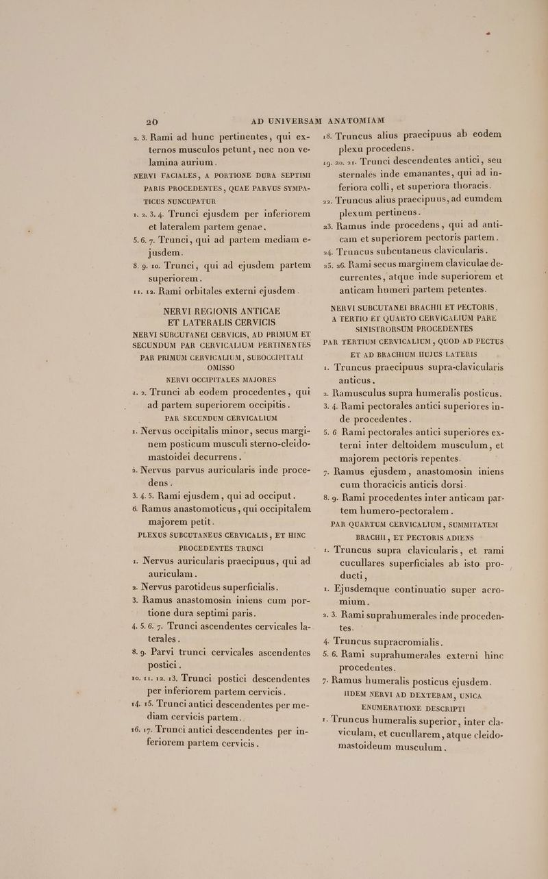ternos musculos petunt , nec non ve- lamina aurium. NERVI FACIALES, A PORTIONE DURA SEPTIMI PARIS PROCEDENTES , QUAE PARVUS SYMPA- TICUS NUNCUPATUR 1. 2. 3. 4. Trunci ejusdem per inferiorem et lateralem partem genae. 5.6. 7. Trunci, qui ad partem mediam e- jusdem. 8. 9. 1o. Trunci, qui ad ejusdem partem superiorem. 11. 12. Rami orbitales externi ejusdem. NERVI REGIONIS ANTICAE ET LATERALIS CERVICIS NERVI SUBCUTANEI CERVICIS, AD PRIMUM ET SECUNDUM PAR CERVICALIUM PERTINENTES PAR PRIMUM CERVICALIUM , SUBOCCIPITALI OMISSO NERVI OCCIPITALES MAJORES . 2, Trunci ab eodem procedentes, qui ad partem superiorem occipitis . PAR SECUNDUM CERVICALIUM . Nervus occipitalis minor, secus margi- s LJ nem posticum musculi sterno-cleido- mastoidei decurrens. . Nervus parvus auricularis inde proce- Ne dens. . 4.5. Rami ejusdem , qui ad occiput. 6. Ramus anastomoticus , qui occipitalem majorem petit. PLEXUS SUBCUTANEUS CERVICALIS, ET HINC PROCEDENTES TRUNCI i. Nervus auricularis praecipuus, qui ad auriculam. ». Nervus parotideus superficialis. 3. Ramus anastomosin iniens cum por- tione dura septimi paris. 4. 5. 6. 7. 'Trunci ascendentes cervicales la- terales. Qo 8.9. Parvi trunci cervicales ascendentes postici . 10. 11. 12. 13. Trunci postici descendentes per inferiorem partem cervicis . 14. 15. Trunci antici descendentes per me- diam cervicis partem. 16. 17. Trunci antici descendentes per in- feriorem partem cervicis. plexu procedens. 19. 20. 21. Trunci descendentes antici, seu sternales inde emanantes, qui ad in- feriora colli, et superiora thoracis. »». Truncus altus praecipuus, ad eumdem plexum pertinens. 23. Ramus inde procedens, qui ad anu- cam et superiorem pectoris partem. 4. Truncus subcutaneus clavicularis. 25. 36. Rami secus marginem claviculae de- currentes, atque inde superiorem et anticam humeri partem petentes. NERVI SUBCUTANEI BRACHII ET PECTORIS, A TERTIO £T QUARTO CERVICALIUM PARE SINISTRORSUM PROCEDENTES PAR TERTIUM CERVICALIUM , QUOD AD PECTUS ET AD BRACHIUM HUJUS LATERIS | i. Truncus praecipuus supra-clavicularis anticus. | | ». Ramusculus supra humeralis posticus. 3. 4. Rami pectorales antici superiores in- de procedentes. 5. 6 Rami pectorales antici superiores ex- terni inter deltoidem musculum , et majorem pectoris repentes. 7. Ramus ejusdem, anastomosin iniens cum thoracicis anticis dorsi. 8. 9. Rami procedentes inter anticam par- tem humero-pectoralem . PAR QUARTUM CERVICALIUM , SUMMITATEM BRACHII, ET PECTORIS ADIENS 1. Truncus supra clavicularis, et rami cucullares superficiales ab isto pro- ducti, i. Ejusdemque continuatio super acro- mium. ND . 3. Bami suprahumerales inde proceden- les. | 4. Iruncus supracromialis. 5. 6. Rami. suprahumerales externi hinc procedentes. 7. Ramus humeralis posticus ejusdem. IIDEM NERVI AD DEXTERAM, UNICA ENUMERATIONE DESCRIPTI : Aruncus humeralis superior, inter cla- viculam, et cucullarem, atque cleido- mastoideum musculum . La]