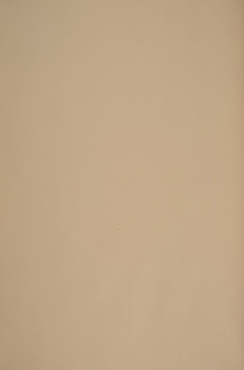 P ! Tace n. Abs €) a IT HN ; LP e rx