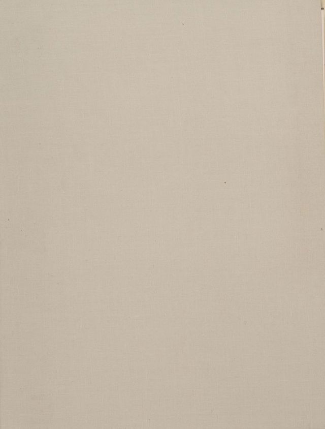 digitised image 2