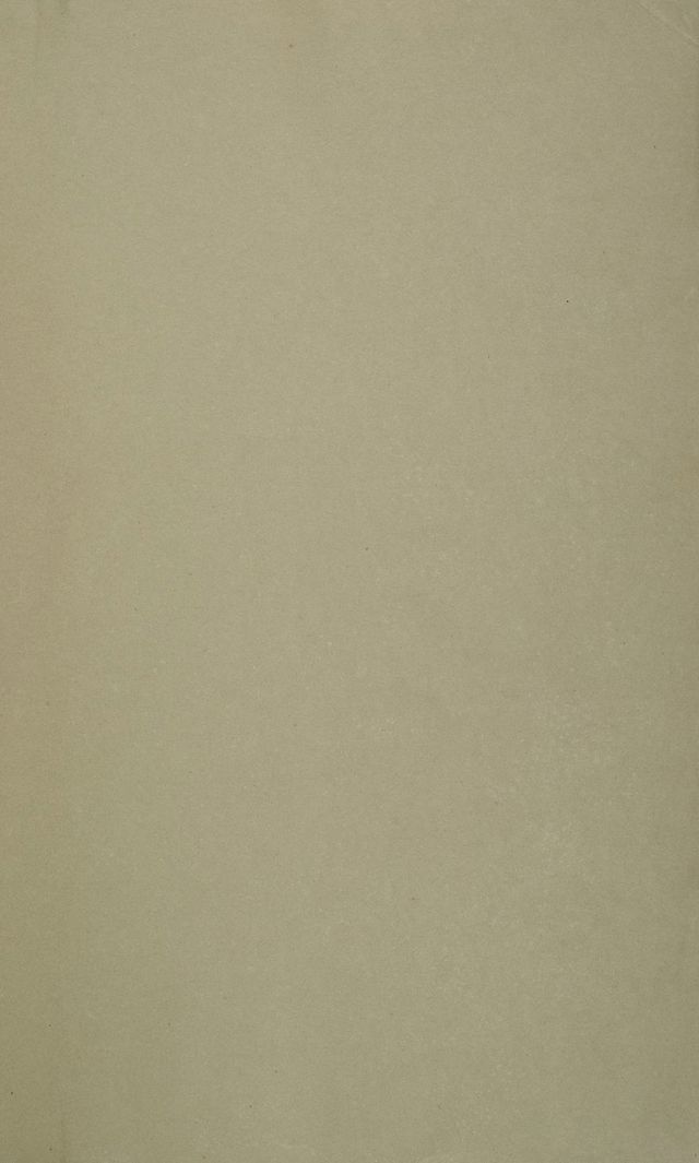 digitised image 3