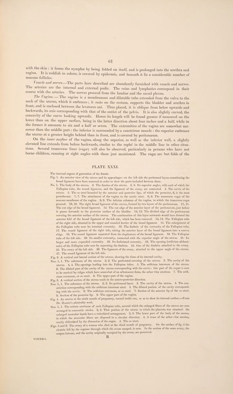 with the skin : it forms the nymphe by being folded on itself, and is prolonged into the urethra and vagina. It is reddish in colour, is covered by epidermis, and beneath it lie a considerable number of mucous follicles. Vessels and nerves.—The parts here described are abundantly furnished with vessels and nerves. The arteries are the internal and external pudic. ‘The veins and lymphatics correspond in their course with the arteries. The nerves proceed from the lumbar and the sacral plexus. Lhe Vagina. —'The vagina is a membranous and dilatable tube extended from the vulva to the neck of the uterus, which it embraces ; it rests on the rectum, supports the bladder and urethra in front, and is enclosed between the levatores ani. Thus placed, it is oblique from below upwards and backwards, its axis corresponding with that of the outlet of the pelvis. It is also slightly curved, the concavity of the curve looking upwards. Hence its length will be found greater if measured on the lower than on the upper surface, being in the latter direction about four inches and a half, while in the former it amounts to six and a half or seven. The extremities of the vagina are somewhat nar- | rower than the middle part : the inferior is surrounded by a constrictor muscle : the superior embraces the uterus at a greater height behind than in front, and is covered by peritonzeum. On the inner surface of the vagina, along the superior, as well as the inferior wall, a slightly elevated line extends from before backwards, similar to the raphé in the middle line in other situa- tions. Several transverse lines (rug@) will also be observed, particularly in persons who have not borne children, running at right angles with those just mentioned. The ruge are but folds of the PLATE XXXI. The internal organs of generation of the female. Fig. 1. An anterior view of the uterus and its appendages: on the left side the peritoneal layers constituting the broad ligament have been removed in order to show the parts included between them. No. 1. The body of the uterus. 2. The fundus of the uterus. 3, 3. Its superior angles, with each of which the Fallopian tube, the round ligament, and the ligament of the ovary, are connected. 4. The cervix of the uterus. 5. The os uteri bounded by the anterior and posterior lips, of which the posterior, 6, is the most protuberant. 7, 7. The attachment of the vagina to the cervix uteri. 8, 8. The transverse ruge of the mucous membrane of the vagina. 9, 9. The inferior columna of the vagina, to which the transverse ruge proceed. 10, 10. The right broad ligament of the uterus, formed by two layers of the peritoneum. 11, 11. The cut edge of the broad ligament. 12. The cut edge of the anterior layer of the peritonzeum, just before it passes forwards to the posterior surface of the bladder. 13, 13. The divided edge of the peritonzeum covering the anterior surface of the uterus. The continuation of this layer outwards would have formed the anterior fold of the broad ligament of the left side, which has been removed. 14, 14. The Fallopian tube of the right side, situated in the upper and rounded border of the broad ligament. 15. The enlargement of the Fallopian tube near its terminal extremity. 16. The fimbrie of the extremity of the Fallopian tube. 17. The round ligament of the right side, raising the anterior layer of the broad ligament into a convex ridge. 18. The round ligament separated from the duplicature of the broad ligament. 19. The Fallopian tube of the left side. 20. Its smaller extremity, connected with the superior angle of the uterus. 21. Its larger and more expanded extremity. 22. Its fimbriated extremity. 23. The opening (orificilum abdomi- nale) of the Fallopian tube seen by separating the fimbria. 24. One of the fimbrie attached to the ovary. 25. The ovary of the left side. 26. The ligament of the ovary, attached to the upper angle of the uterus. 27. The round ligament of the left side. Fig. 2. A vertical and lateral section of the uterus, showing the form of its internal cavity. Nos. 1, 1. The substance of the uterus. 2,2. The peritonzal covering of the uterus. 3. The cavity of the uterus. 4, 4. The openings leading into the Fallopian tubes. 5. The orificium internum of the uterus. 6. The dilated part of the cavity of the uterus corresponding with the cervix: this part of the organ is seen to be marked by ridges which have somewhat of an arborescent form, the arbor vite uterinus. 7. The orifi- cium externum, or os uteri. 8. The upper part of the vagina. Fig. 3. A vertical section of the uterus made in the antero-posterior direction. Nos. 1, 1. The substance of the uterus. 2, 2. Its peritoneal layer. 3. The cavity of the uterus. 4. The con- striction corresponding with the orificium internum uteri. 5. The dilated portion of the cavity correspond- ing with the cervix. 6. The orificium externum, or os uteri. 7. Section of the anterior lip of the os uteri. 8. Section of the posterior lip. 9. The upper part of the vagina. Fig. 4. An uterus at the ninth month of pregnancy, turned inside out, so as to show its internal surface.—From Dr. Hunter’s admirable work. Nos. 1, 1. The ostium uterinum of each Fallopian tube, around which the enlarged fibres of the uterus are seen arranged in concentric circles. 2,2. That portion of the uterus to which the placenta was attached: the enlarged muscular bands have a reticulated arrangement. 3, 3. The lower part of the body of the uterus, +, which the muscular fibres are disposed in a circular direction. 4. A trace of the arbor vite uterina, nearly obliterated by the distension of the organ. 5. The os uteri. Figs. 5 and 6. The ovary of a woman who died at the third month of pregnancy. oe the surface of fig. 5 the cicatrix left by the rupture through which the ovum escaped, is seen. In the section of the same ovary, the corpus luteum, and the cavity originally occupied by the ovum, are perceived. VISCERA.