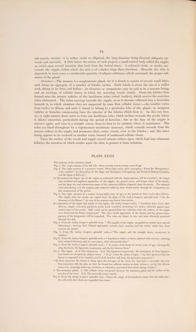 not exactly circular: it is rather ovoid or elliptical, the long diameter being directed obliquely up- wards and outwards. A little below the centre of each projects a small conical body called the nipple, on which open several foramina that lead from the lacteal ducts. A coloured circle, or areola, sur- rounds the nipple, within which the skin is of a darker tinge than elsewhere. Beneath the skin is deposited, in most cases, a considerable quantity of adipose substance, which surrounds the proper sub- stance of the gland. Structure.—The mamma is a conglomerate gland, for it is found to consist of several small lobes, each being an aggregate of a number of lobules (acini). Each lobule is about the size of a millet seed, oblong in its form, and hollow; its elements or components may be said to be a mucous lining, and an envelope of cellular tissue, in which the secreting vessels ramify. From the lobules thus formed arise the minute radicles of the lactiferous tubes (tubuli lactiferi), which receive the secretion when elaborated. The tubes converge towards the nipple, so as to become collected into a fasciculus beneath it, in which situation they are supported by some firm cellular tissue :—the number varies from twelve to fifteen, and each is found to belong to a particular lobe of the gland; its incipient radicles or branches commencing from the interior of the lobules which form it. In this way four, six, or eight minute ducts unite to form one lactiferous tube, which inclines towards the areola, where it dilates somewhat, particularly during the period of lactation; but at the base of the nipple it narrows again, and runs in a straight course from its base to its summit, where it terminates. The tubes are lined throughout by a tegumentary membrane (mucous), which extends inwards from the minute orifices in the nipple, and permeates their entire extent, even to the lobules; and this inner lining appears to be enclosed in another tunic, formed of condensed cellular tissue. Upon the surface of the areola and nipple several minute orifices open, which lead into sebaceous follicles, the secretion of which exudes upon the skin, to protect it from irritation. PLATE XXXII. The anatomy of the mammary gland. Fig. 1. The virgin mamma of the left side: from a young woman twenty years of age. Fig. 2. The right mamma of a pregnant woman thirty-eight weeks after conception.—From Dr. Montgomery’s work, entitled “* An Exposition of the Signs and Symptoms of Pregnancy, the Period of Human Gestation, and the Signs of Delivery.” In this mamma the larger size of the organ, as contrasted with the virgin mamma, will be remarked ; the larger size, wrinkled and papillous appearance of the nipple; the greater circle, and deeper colour of the areola ; and the large size and tuberculous aspect of the sebaceous follicles dispersed upon the areola. The enlarged veins meandering over the mamma, and rendered visible by their bluish tracks through the integument, are also characteristic of the period. Fig. 3. The right mamma of a woman twenty-eight years of age, at the period of three weeks after delivery. The nipple, with the areola, are copied from the Atlas of Sir Astley Cooper’s splendid work ‘‘ On the ” the rest of the mamma was drawn from nature. Anatomy of the Breast ; In explanation of the nipple and areola of this figure, Sir Astley Cooper writes, ‘‘ Lactation three weeks after delivery, nipple extremely papillous, areola much extended, measuring two inches, tubercles appear upon various parts of the areola. Milk could not be pressed from the tubercles when the orifices of the nipple were closed and the breast compressed.” The more tumid appearance of the breast, and the greater trans- parency of the integument, will be remarked. The veins are larger in size, and more distinctly perceived through the skin. . Fig. 4. From Sir Astley Cooper’s splendid work, ‘‘ The papille of the nipple (magnified to double their natural dimensions) ; showing their foliated appearance towards their summits, and the circles which they form towards the areola.” Fig. 5. From Sir Astley Cooper’s splendid work.—‘‘ The nipple and the straight ducts, twenty-one in number.” Fig. 6. From Sir Astley Cooper’s splendid work.—* Lactiferous tubes, or ducts, injected with red wax ; showing their radiated direction, and, in some places, their inter-ramification.” Fig. 7. From Sir Astley Cooper’s splendid work.—* A section of the breast at twenty years of age; showing the skin, the fascia, the ligamenta suspensoria, and the fat between them.” No. 1. The nipple. 2, 2. The integument. 3, 3. The ligamenta suspensoria: the interspaces of these ligamen- tous bands are occupied by adipose tissue. “ It is,” writes Sir Astley Cooper, ‘¢ by these processes that the breast is suspended in its situation, and I shall therefore call them the ligamenta suspensoria.” “¢ By these processes the breast is slung upon the fore-part of the chest, for they form a moveable but very firm connexion with the skin, so that the breast has sufficient motion to elude violence ; yet by this fibrous tissue it is, excepting under age, lactation, or relaxation, prevented from much change of place.” 4. The mammary gland. 5. The cellular tissue interposed between the mammary gland and the surface of the muscles of the chest. 6, 6.. The pectoralis major muscle. Fig. 8. From Sir Astley Cooper’s splendid work.—Shows the origin of the lactiferous ducts from the milk-cells : the cells with their ducts are magnified four times.